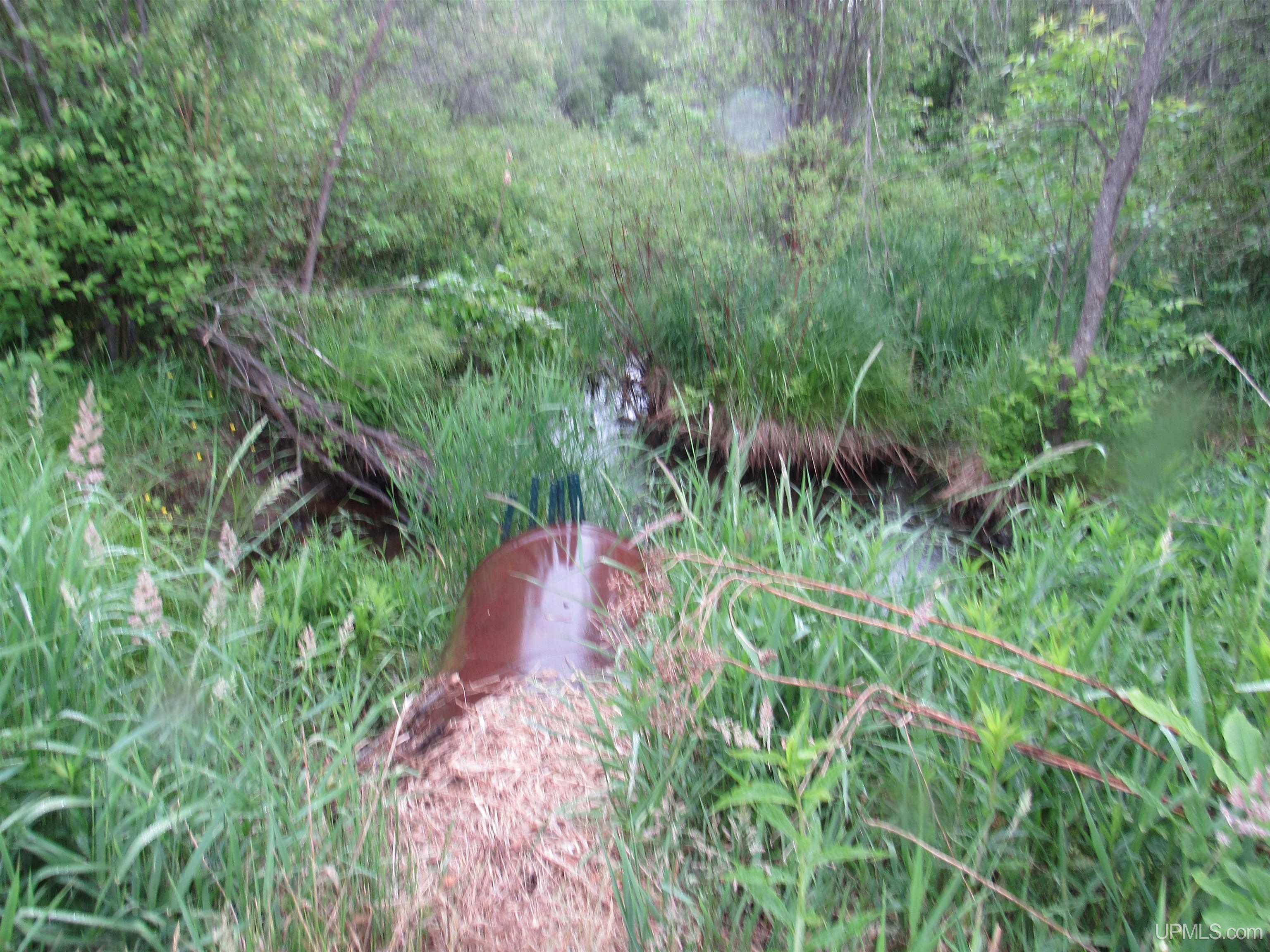 MLS 50212294 Large photo number 15 