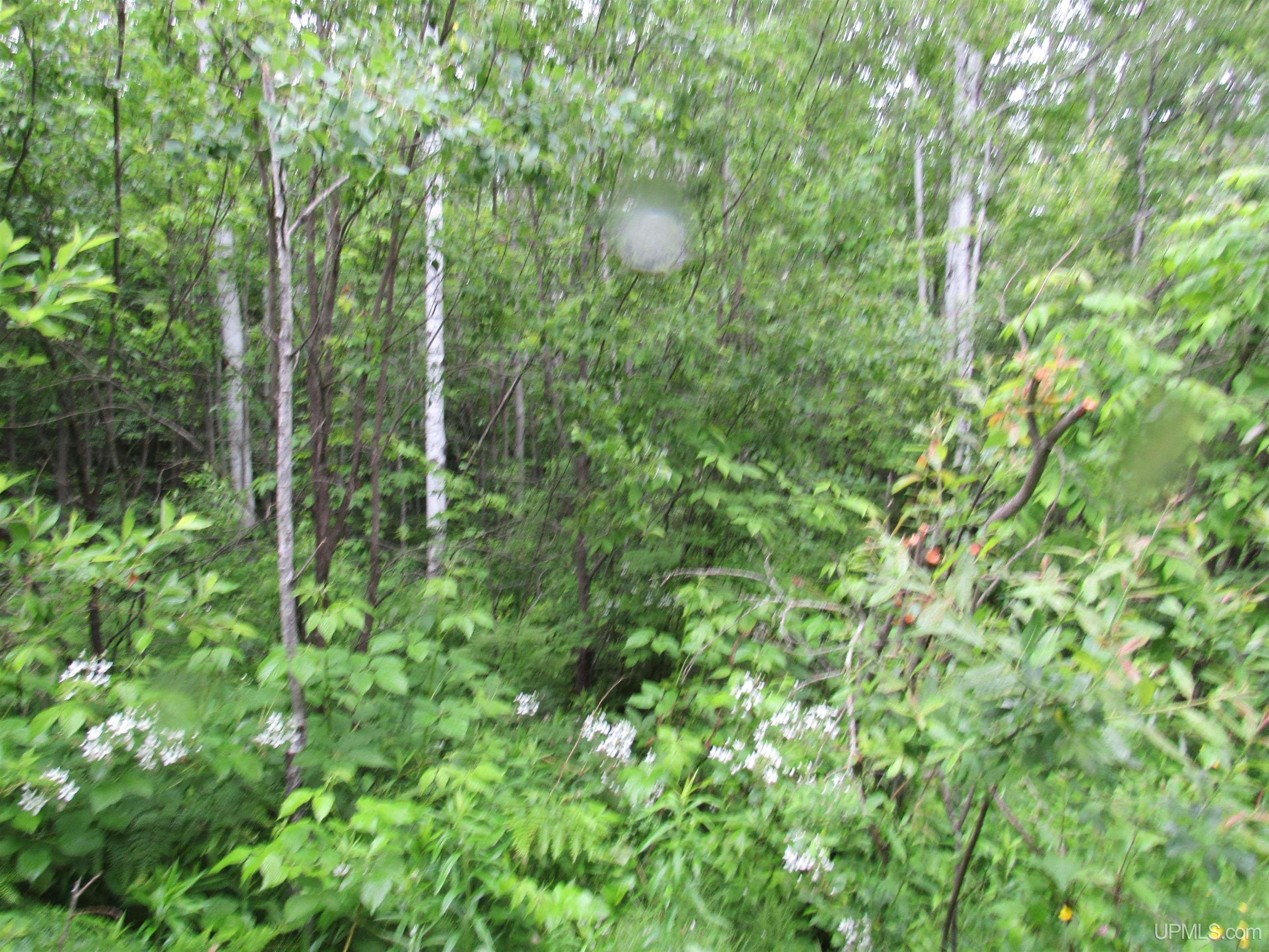 MLS 50212294 Large photo number 16 