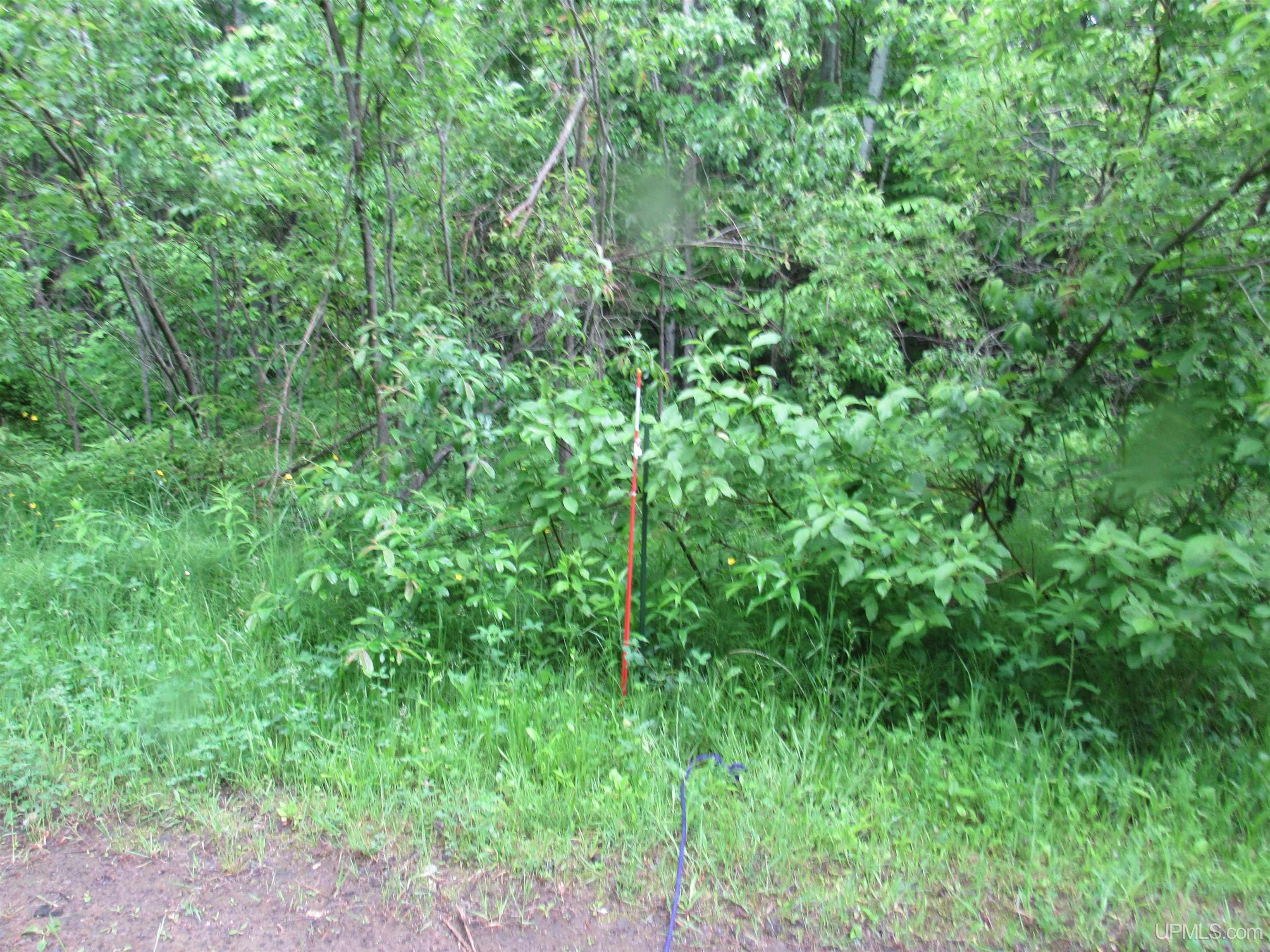 MLS 50212294 Large photo number 17 