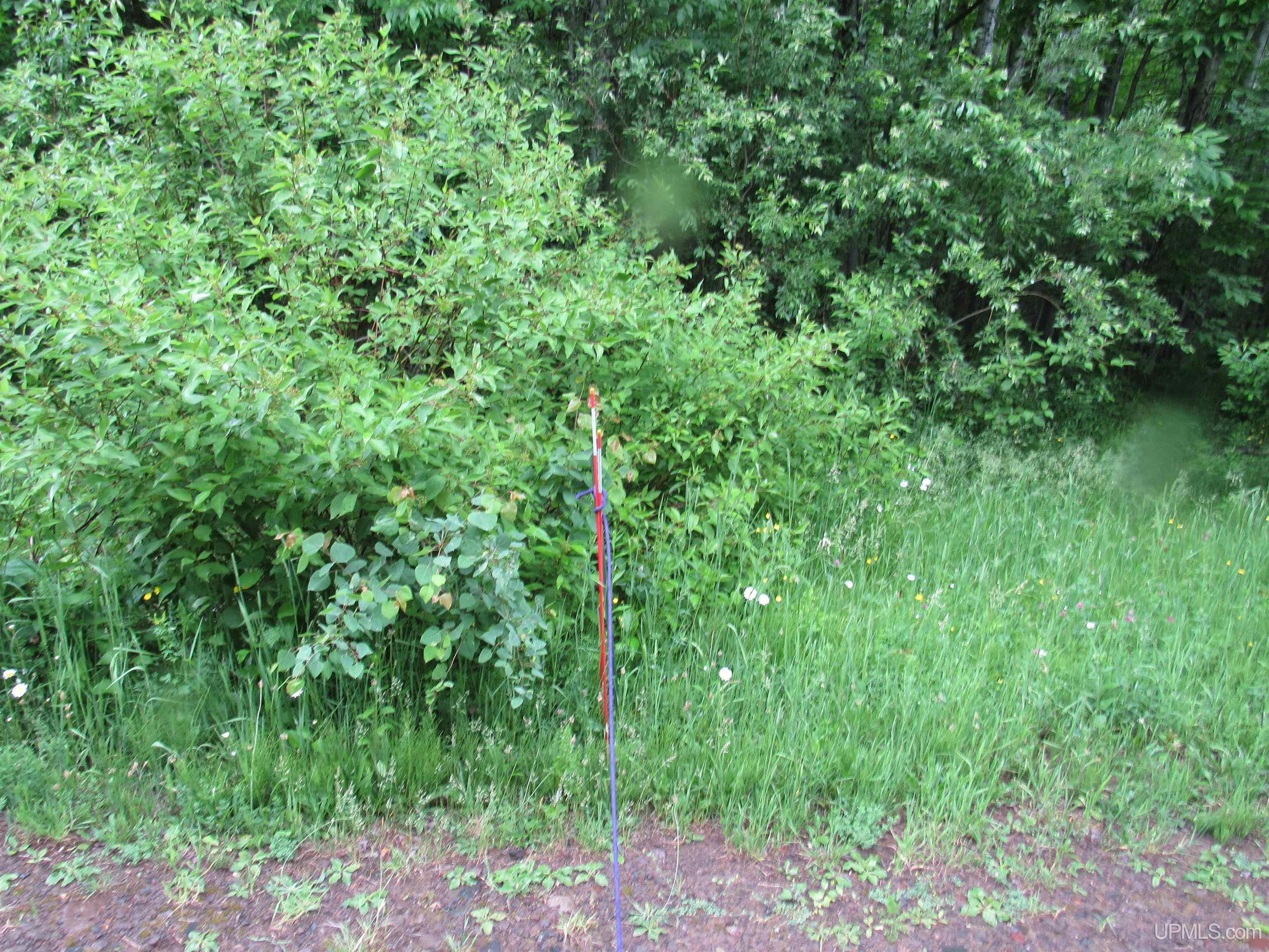MLS 50212294 Large photo number 18 
