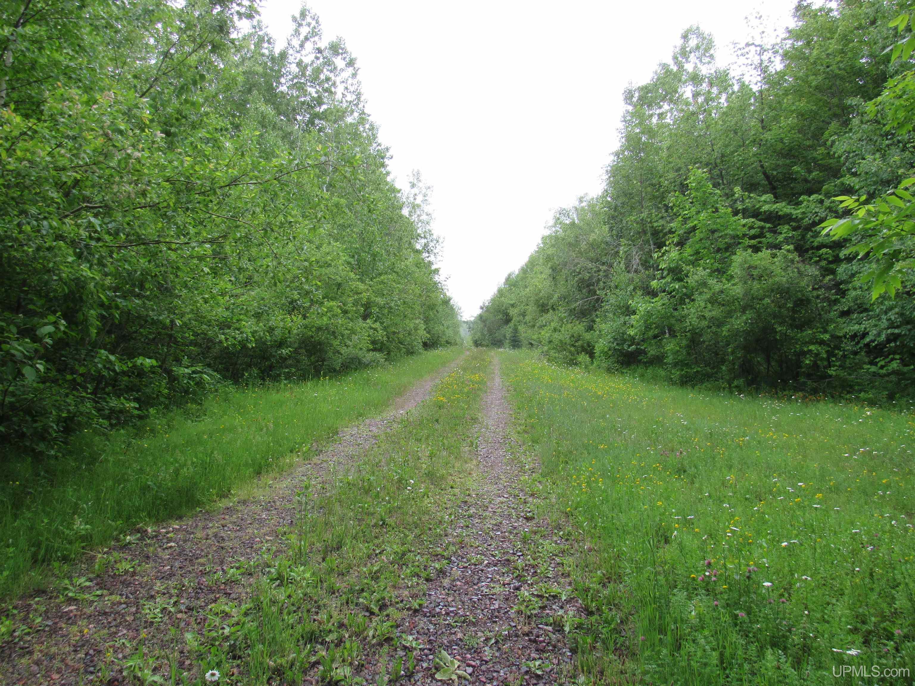 MLS 50212294 Large photo number 3 