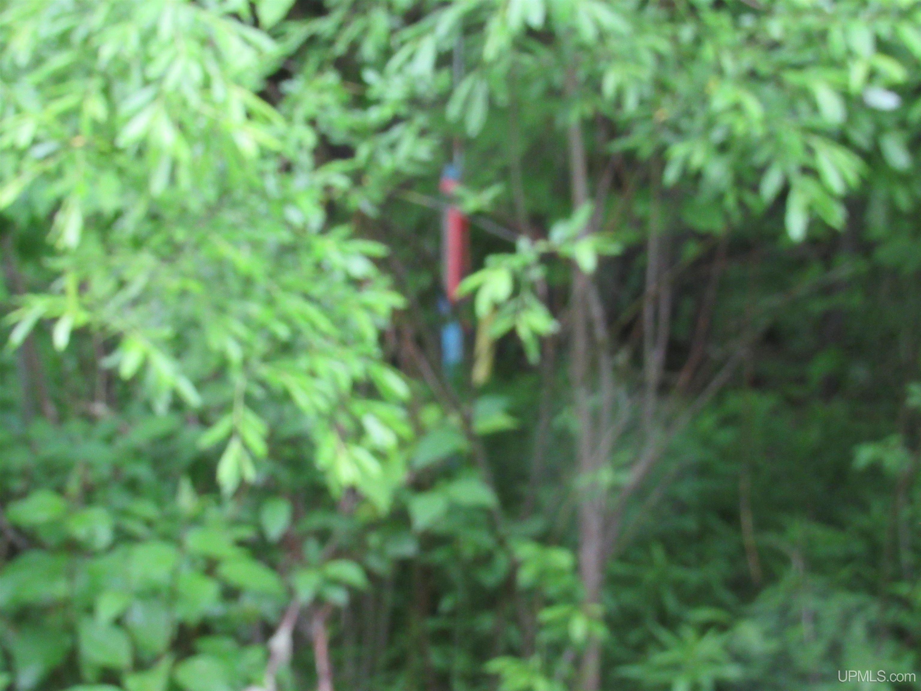 MLS 50212294 Large photo number 21 