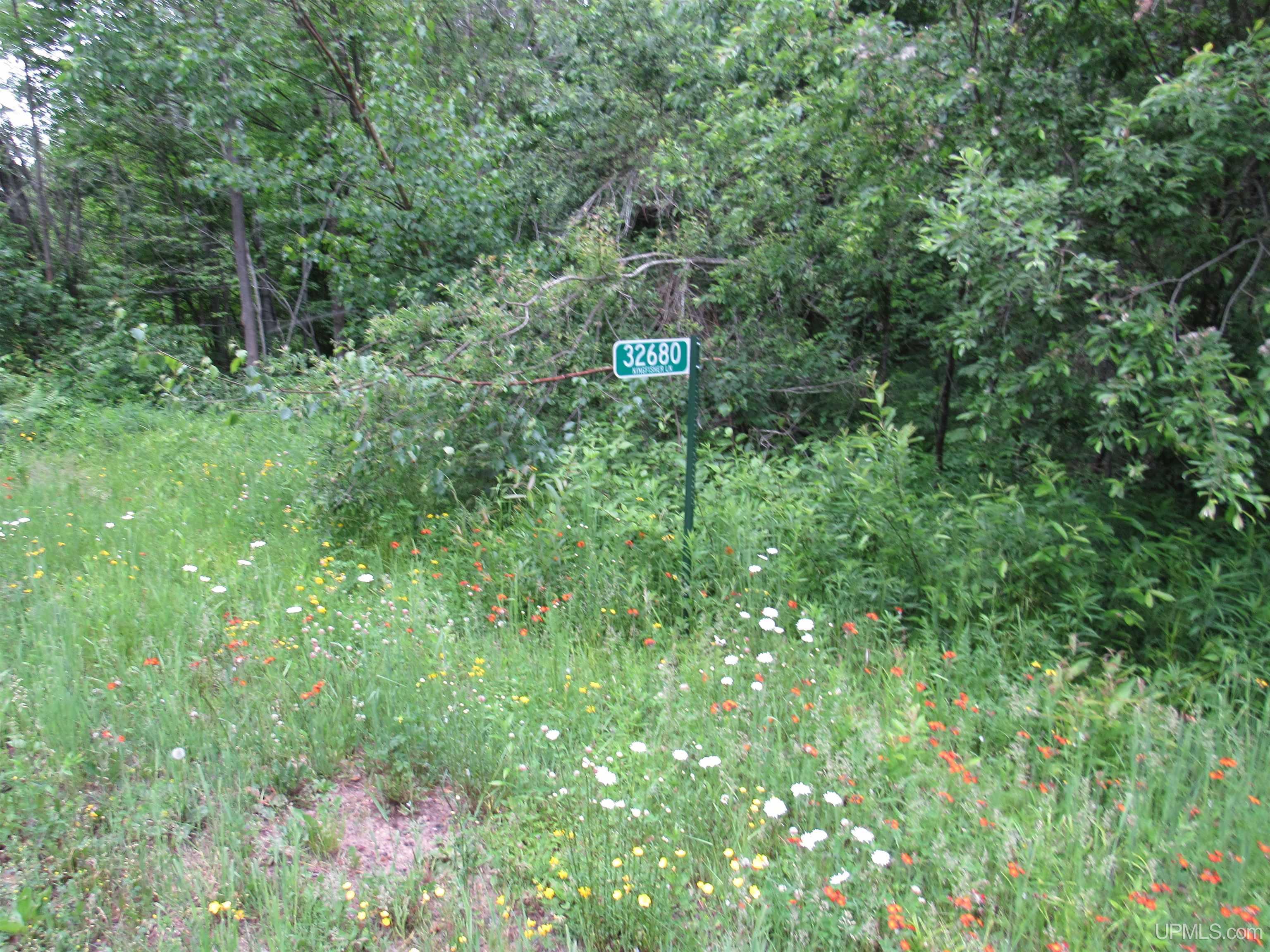 MLS 50212294 Large photo number 23 