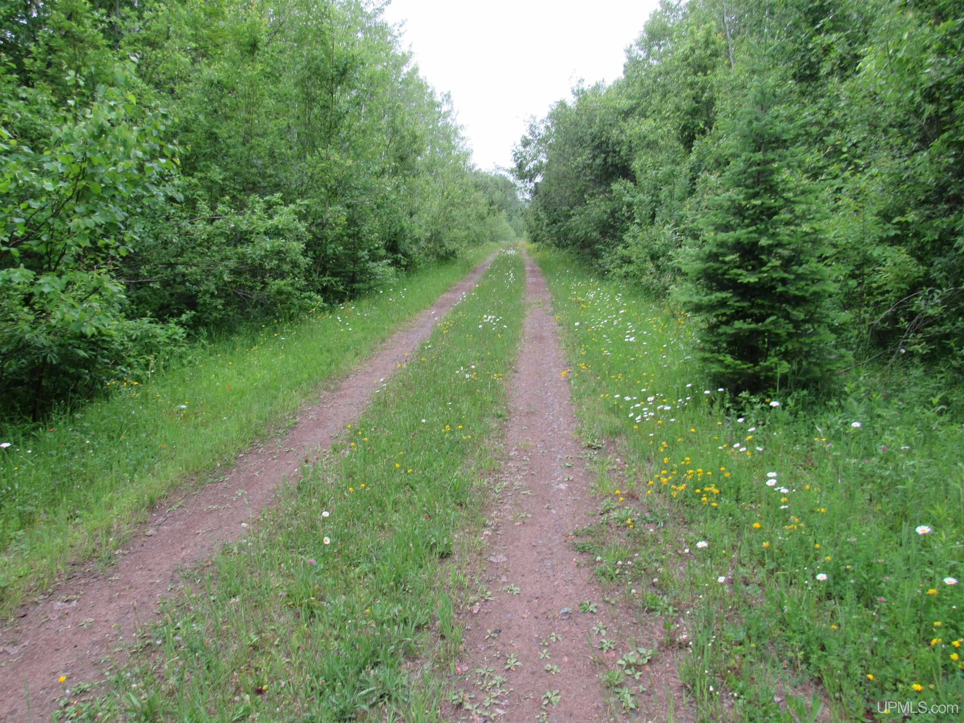 MLS 50212294 Large photo number 4 