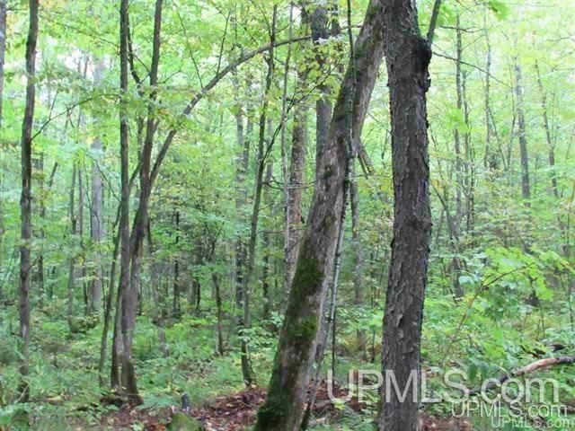 MLS 50212294 Large photo number 5 