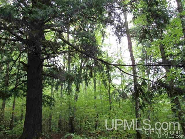 MLS 50212294 Large photo number 6 