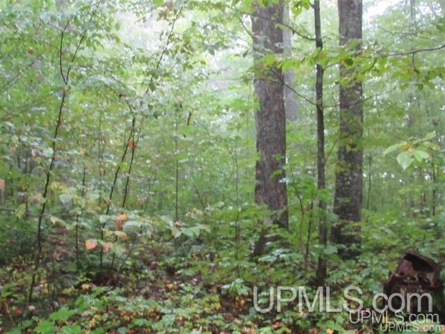 MLS 50212294 Large photo number 7 