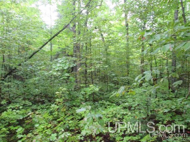 MLS 50212294 Large photo number 8 