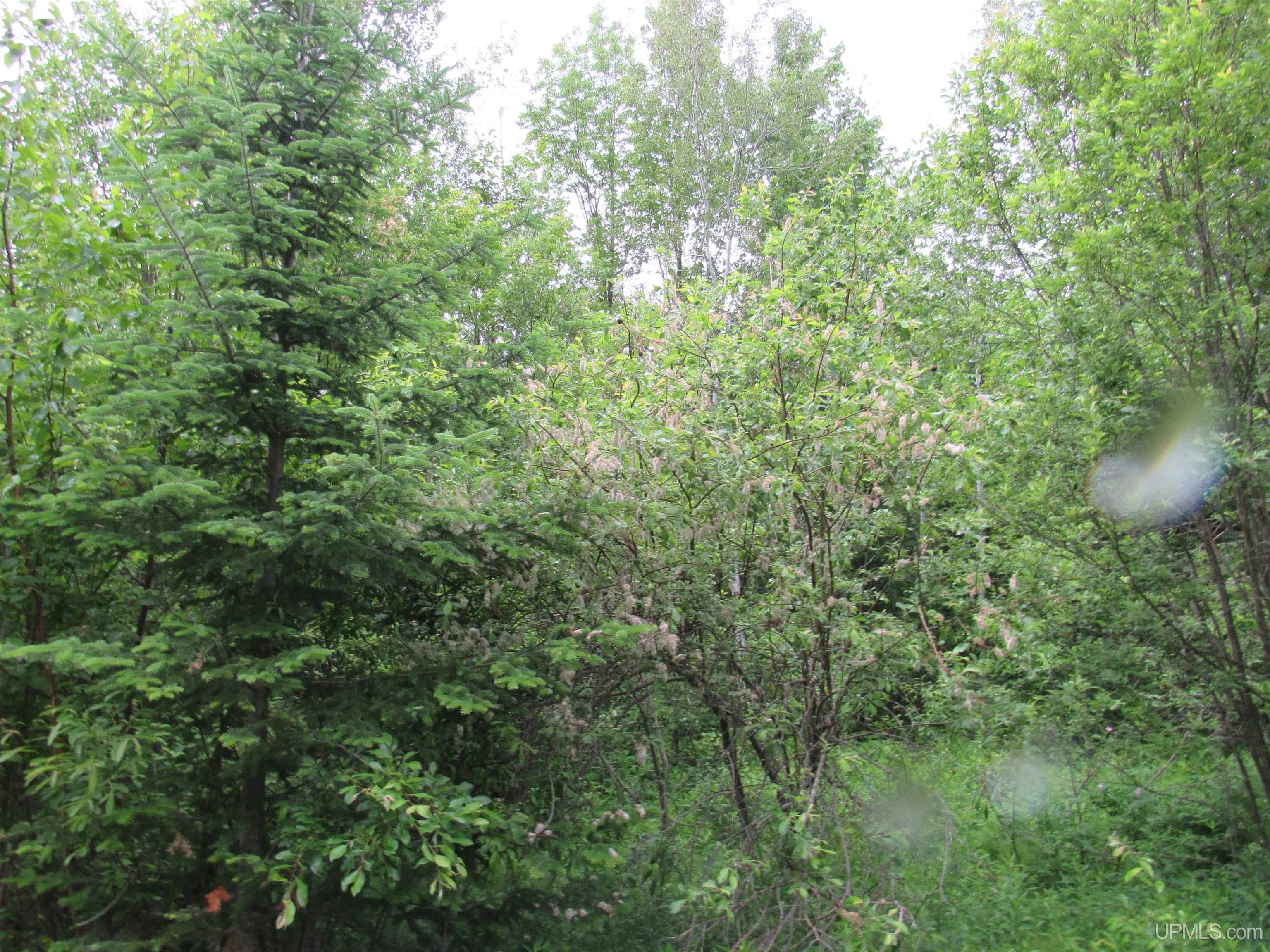 MLS 50212294 Large photo number 10 