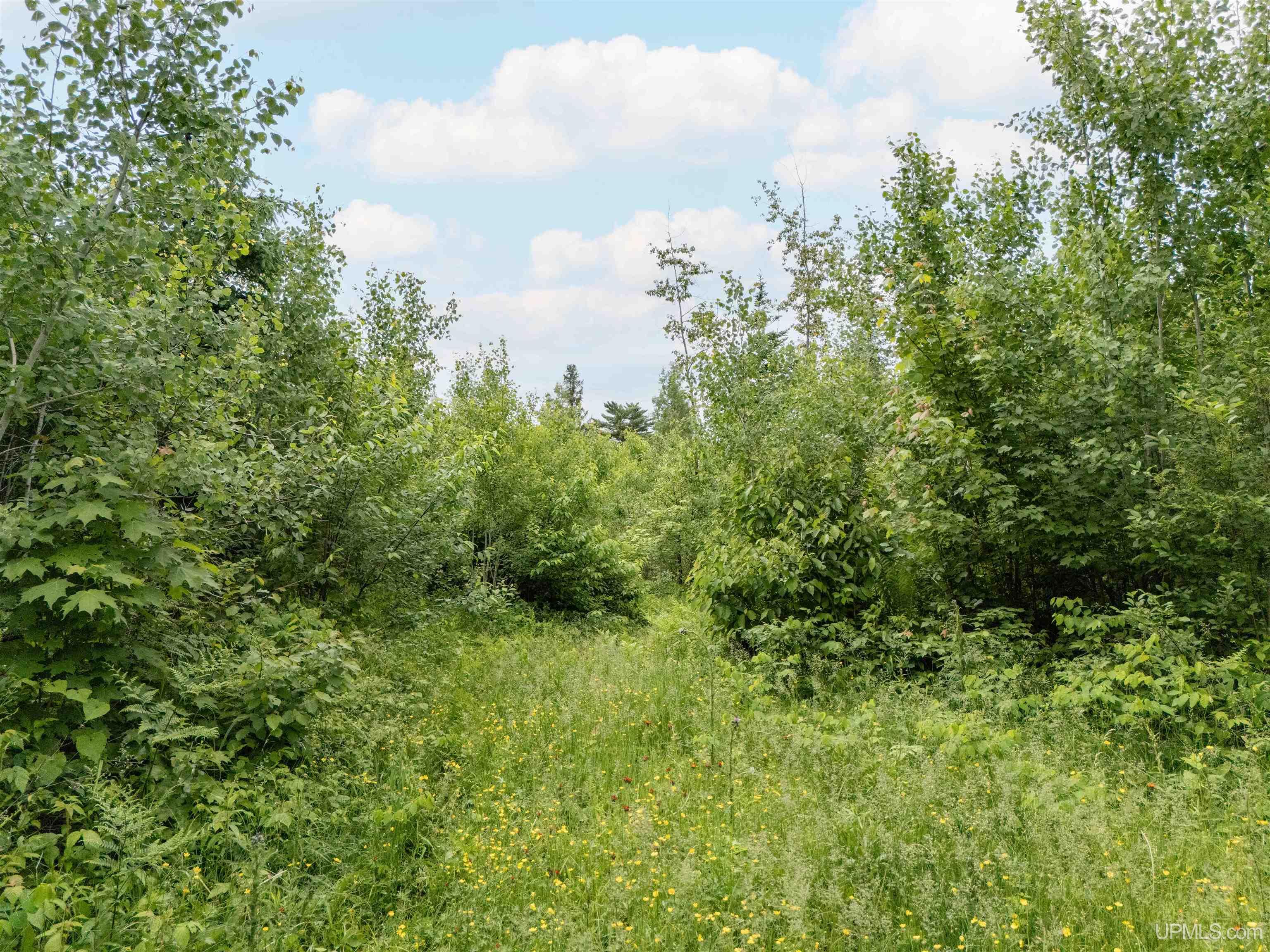 MLS 50212295 Large photo number 18 