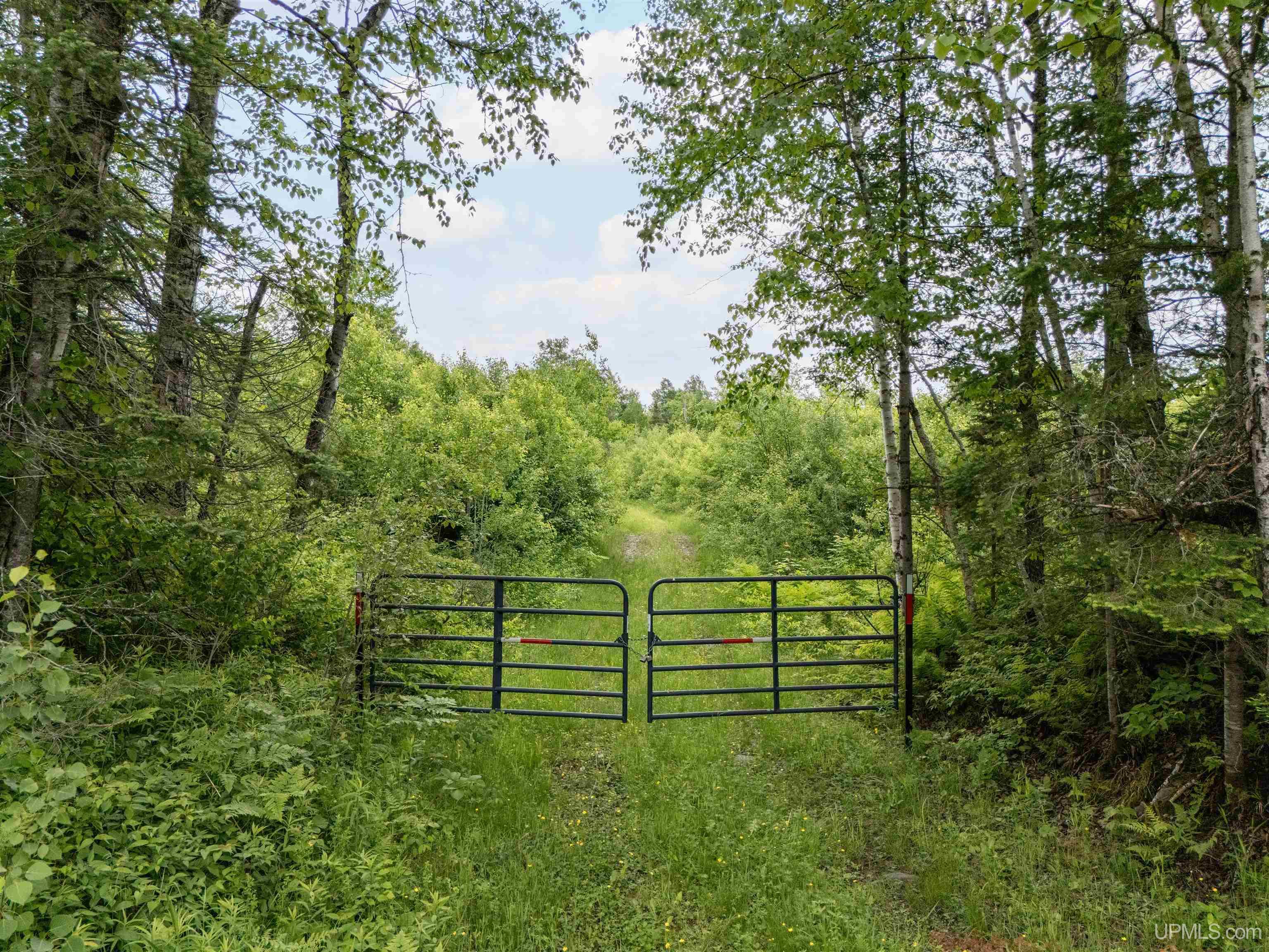 MLS 50212295 Large photo number 7 