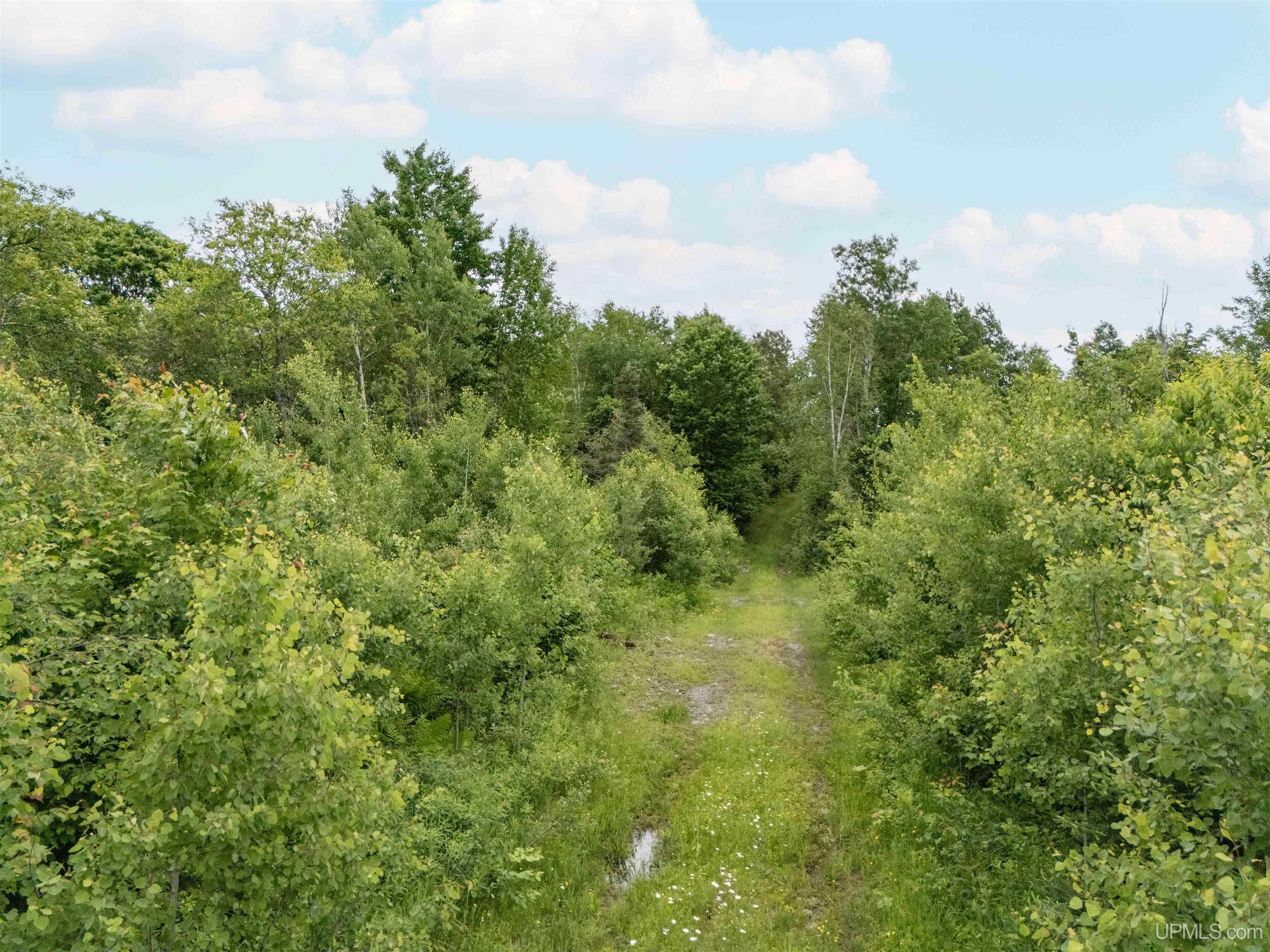 MLS 50212295 Large photo number 8 