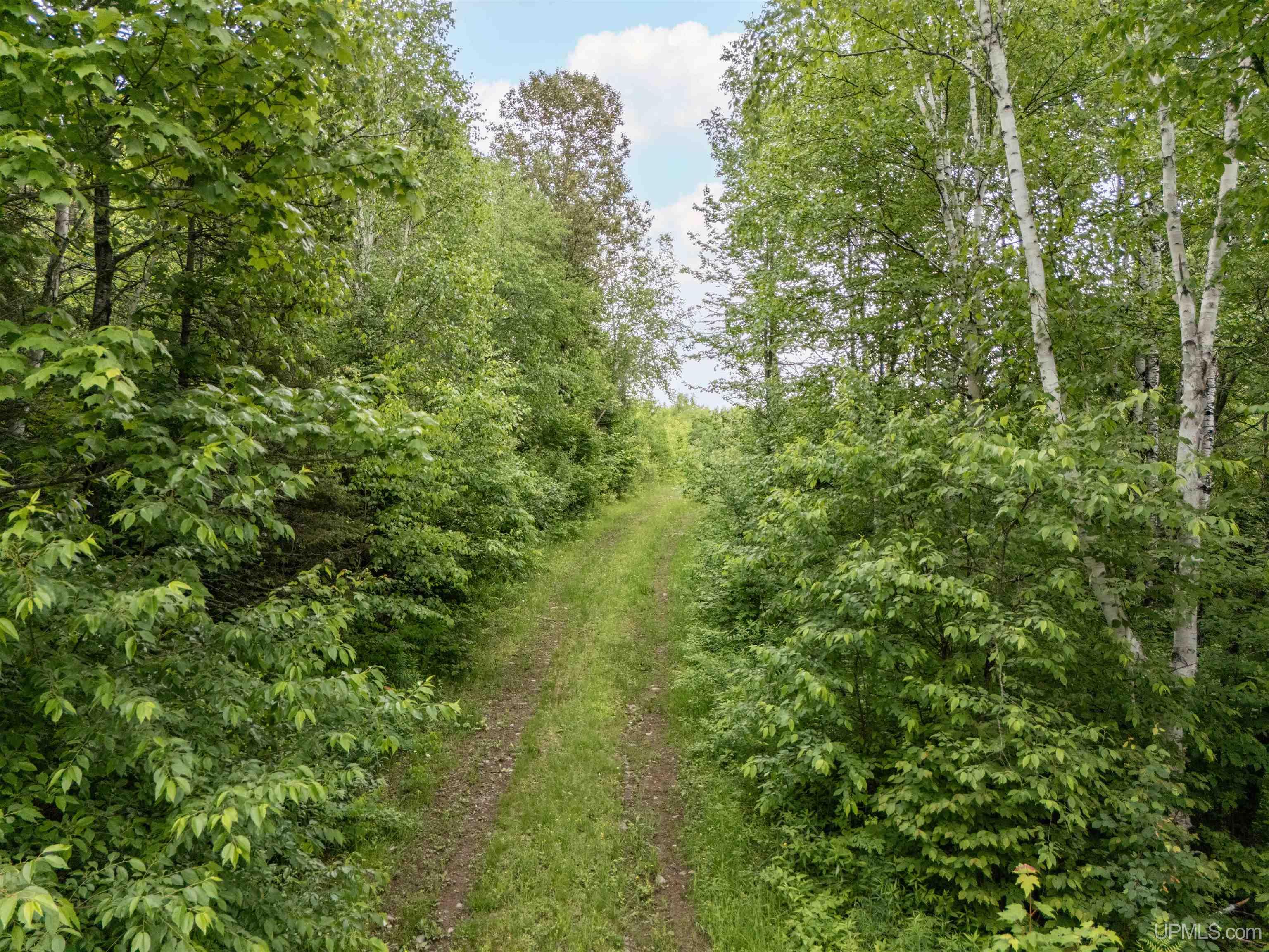 MLS 50212295 Large photo number 9 