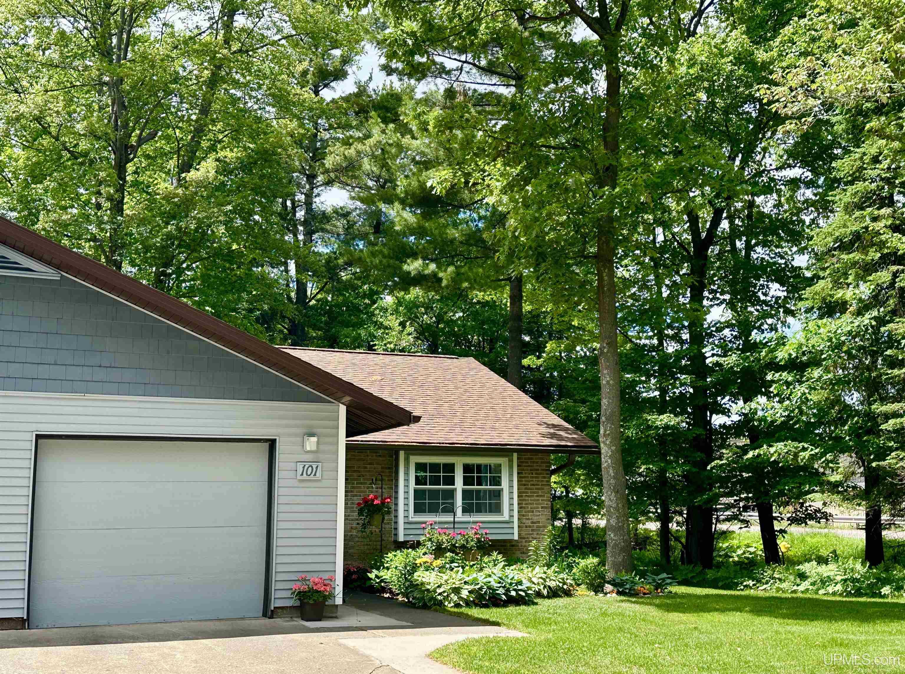 MLS 50212364 Large photo number 36 