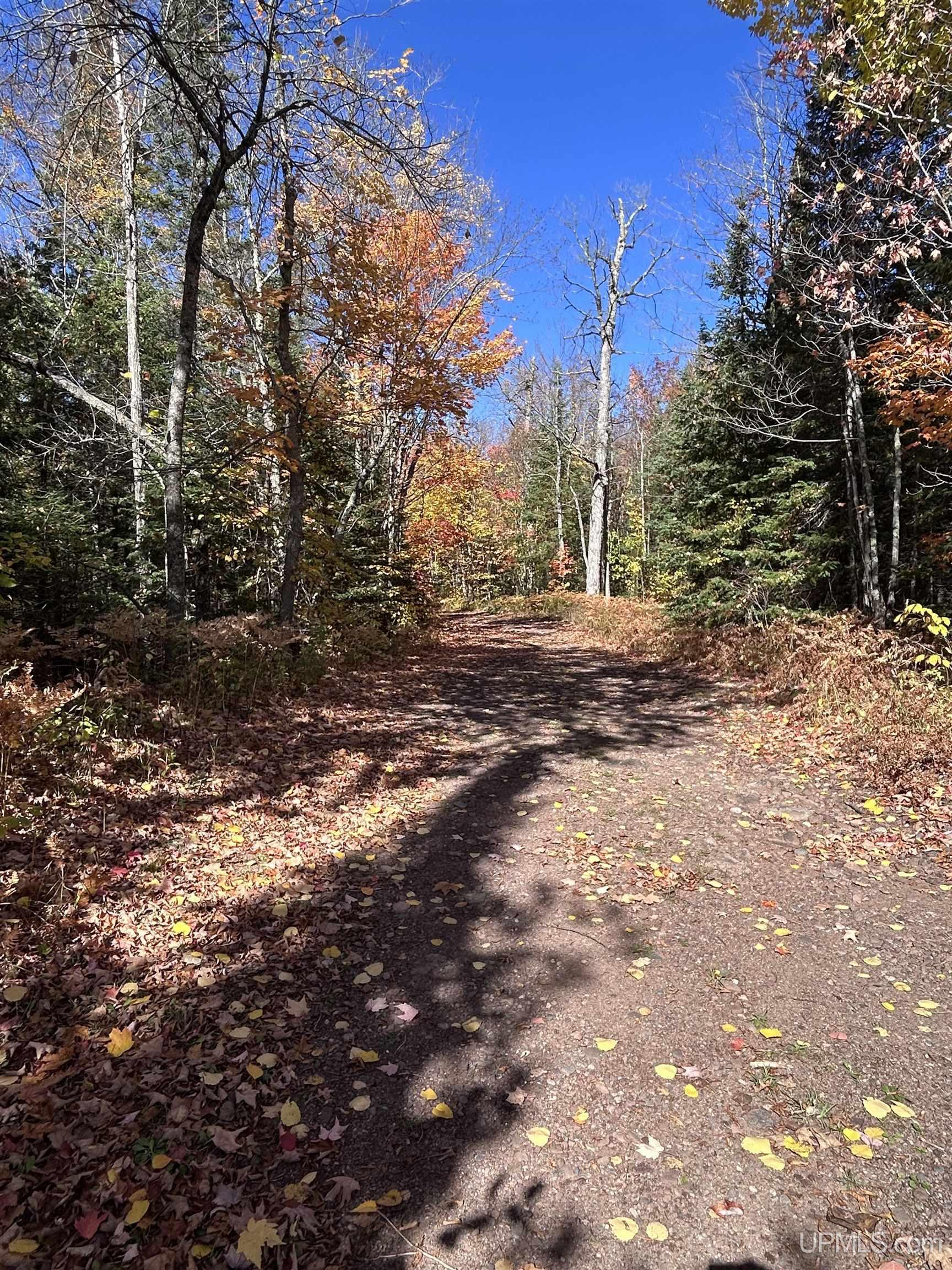 Photo 3 of Land for sale at 724 N County 519 Rd, Wakefield, MI 49968 | MLS# 50212468 | Listing updated on 2026-10-08
