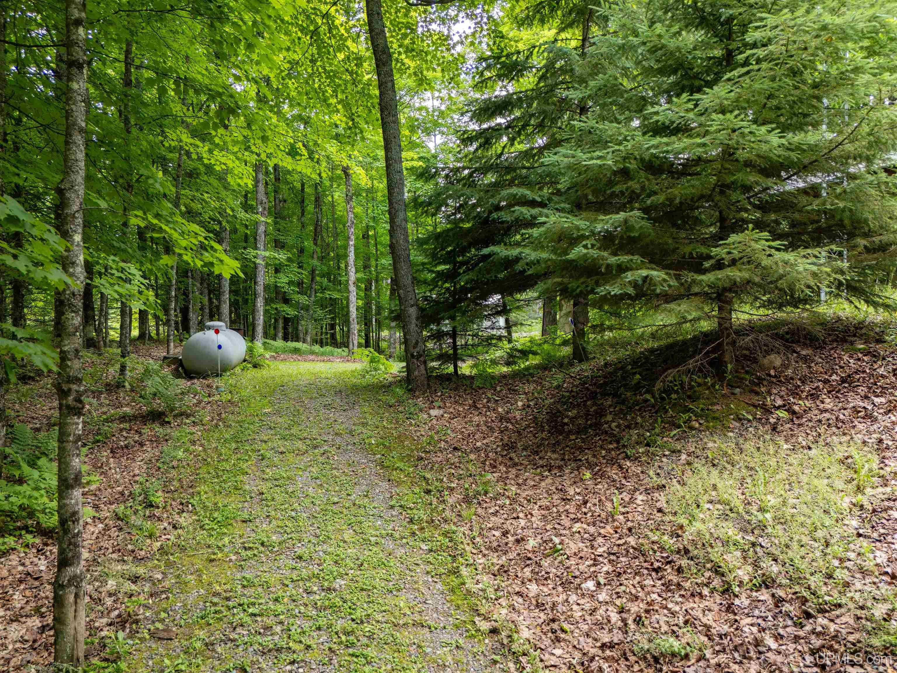 MLS 50212479 Large photo number 46 