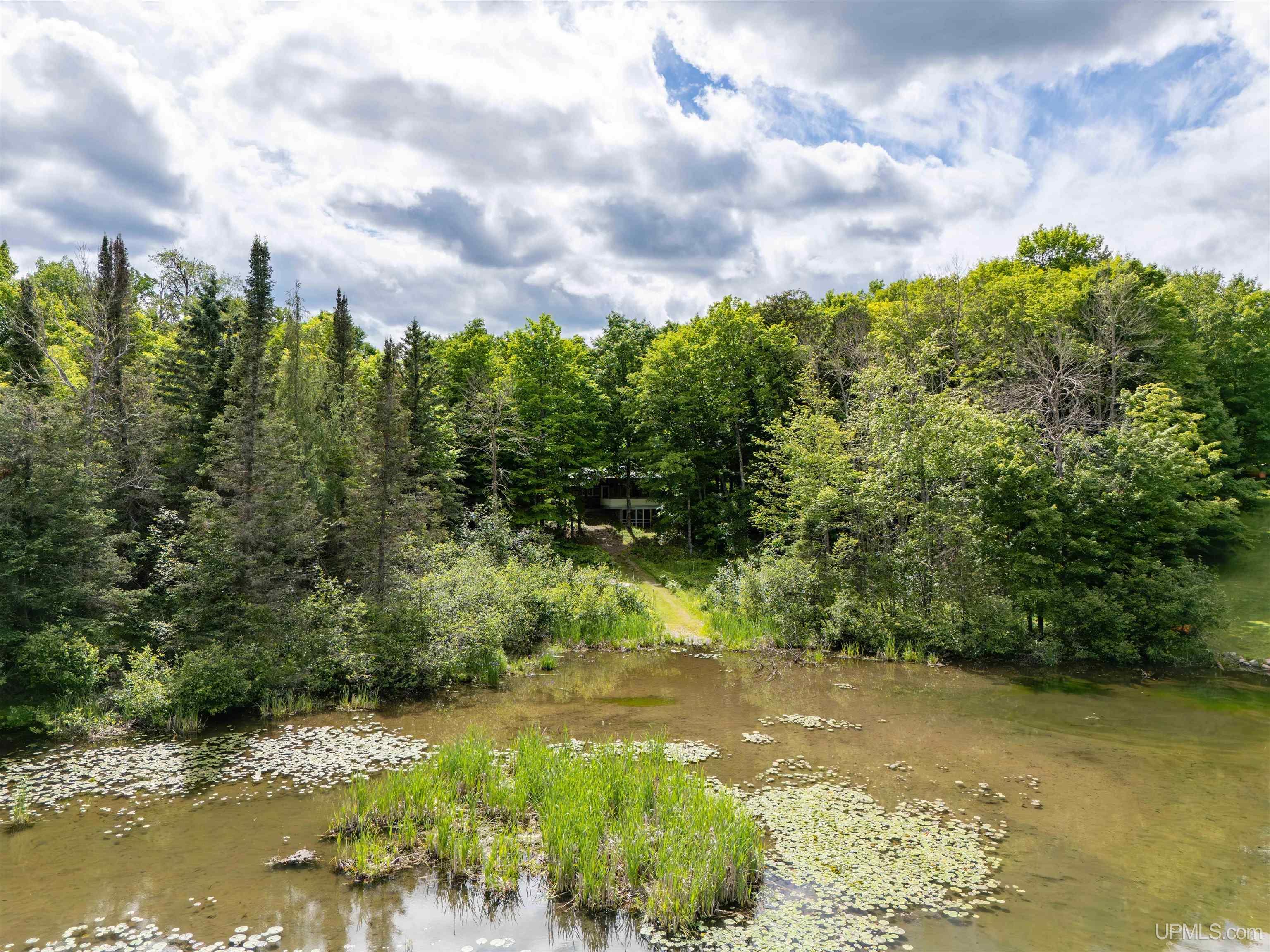MLS 50212479 Large photo number 51 
