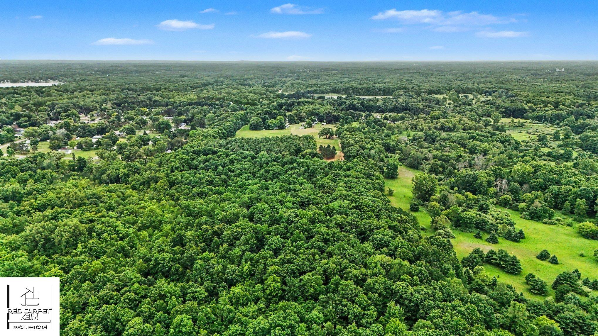 5544 Coldwater Road photo 6