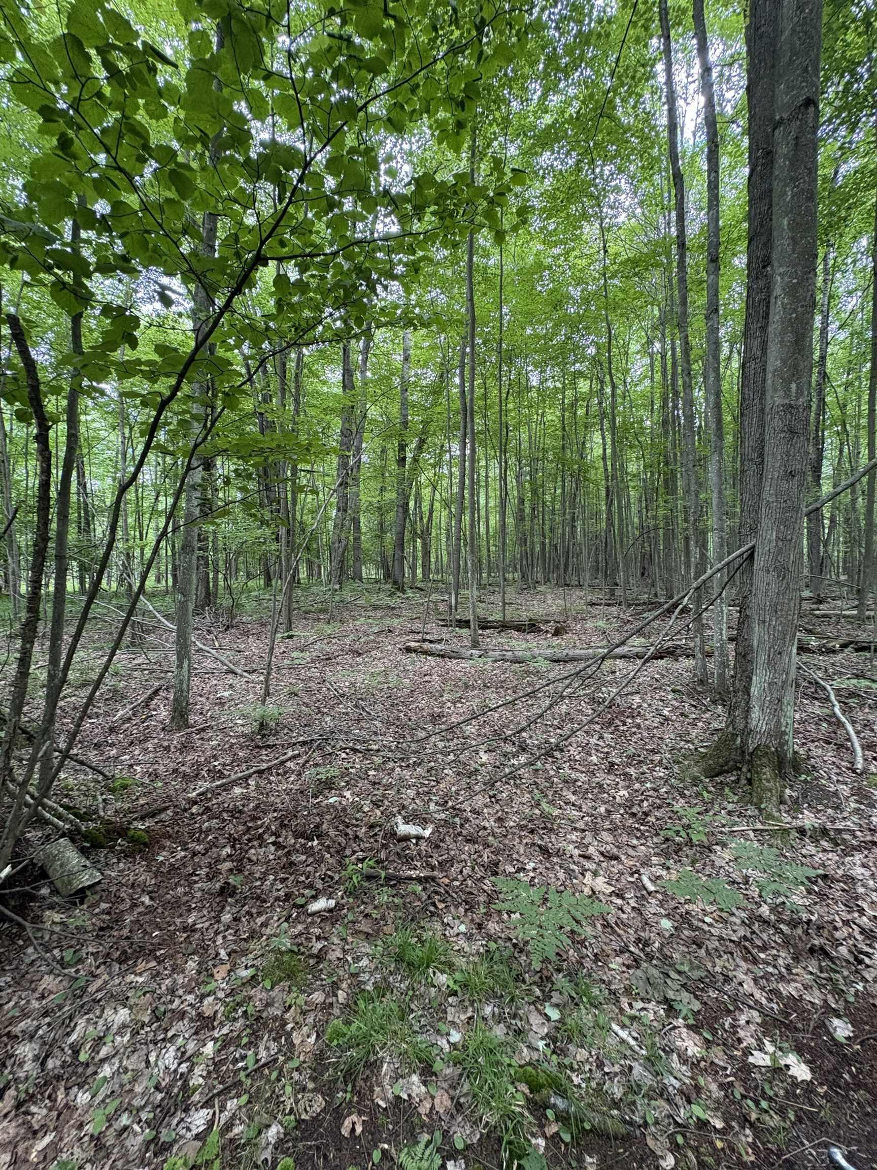 1st image of 3680 Wieman Rd, Beaverton, MI 48612 | MLS# 61050212856