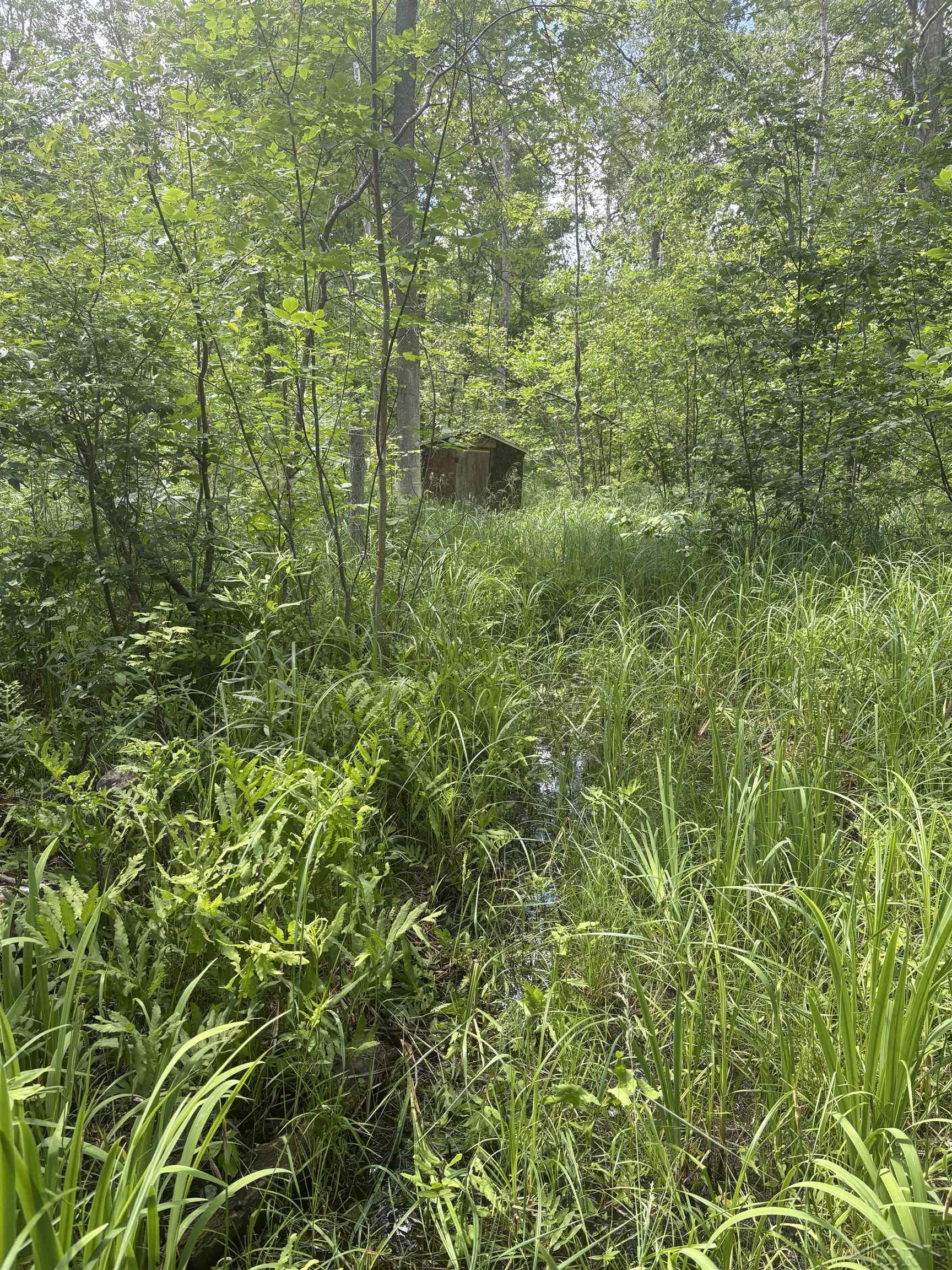 Picture 18