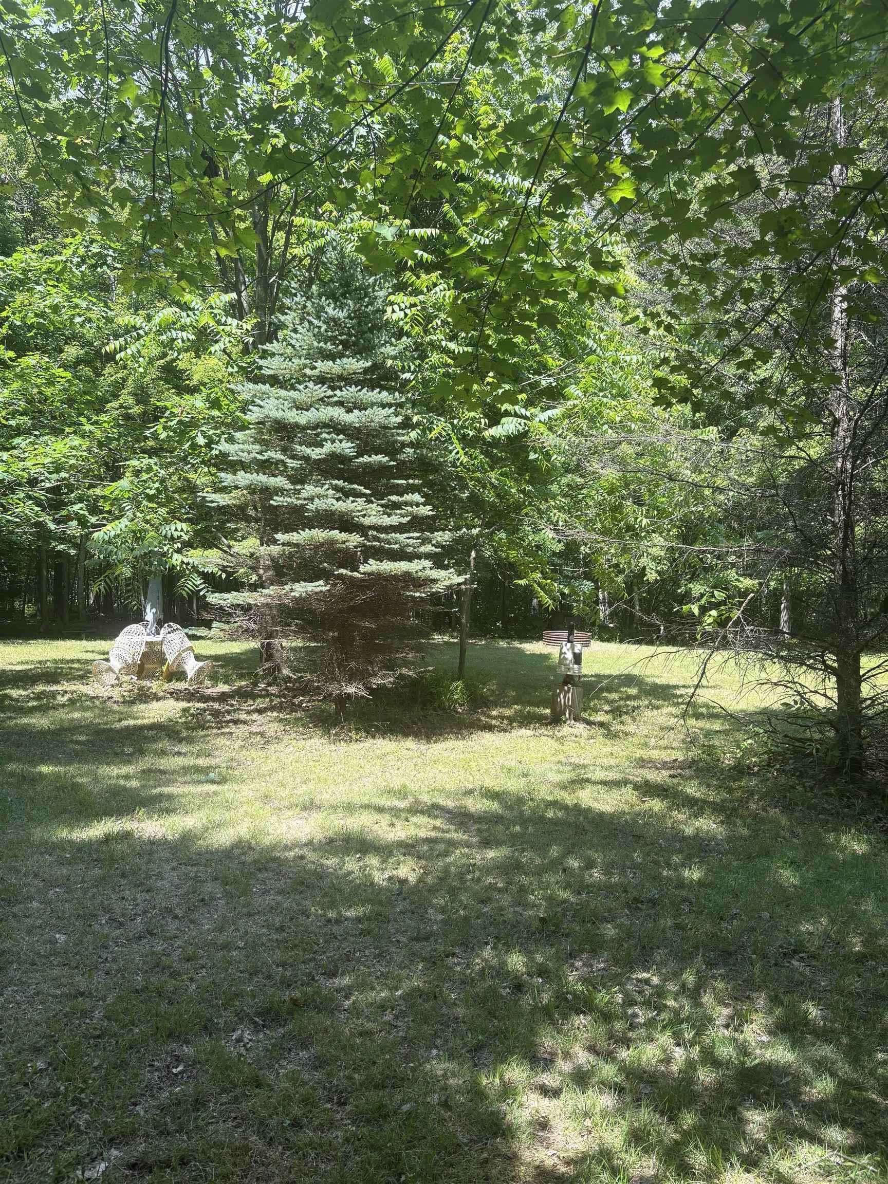 Picture 22