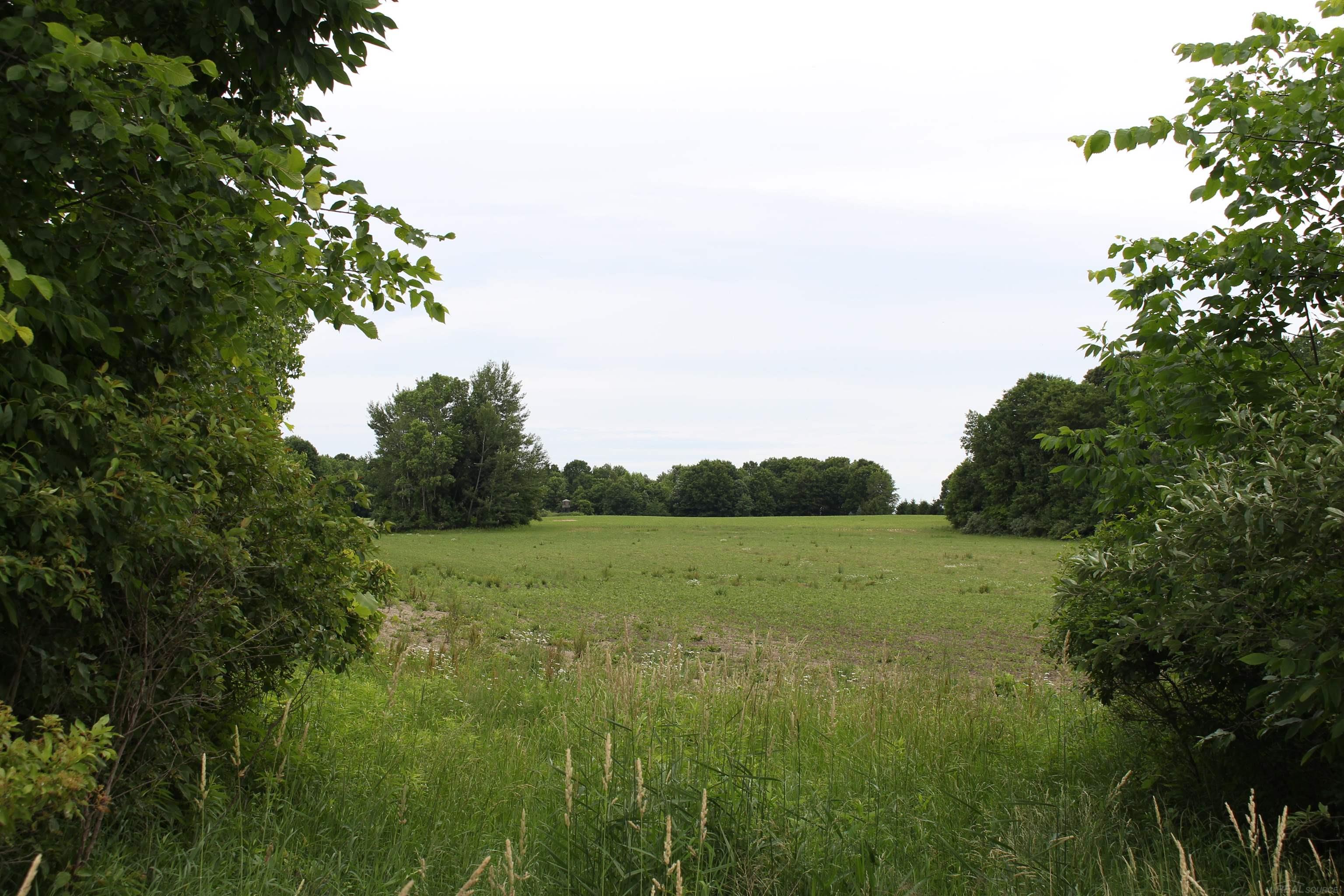 TBD Burnside Road photo 4