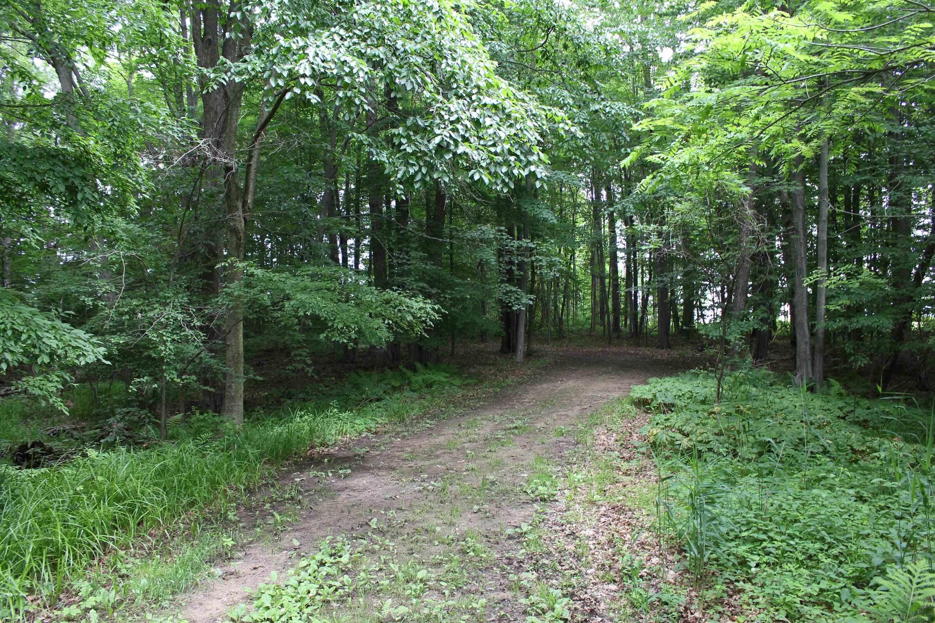 TBD Burnside Road photo 5