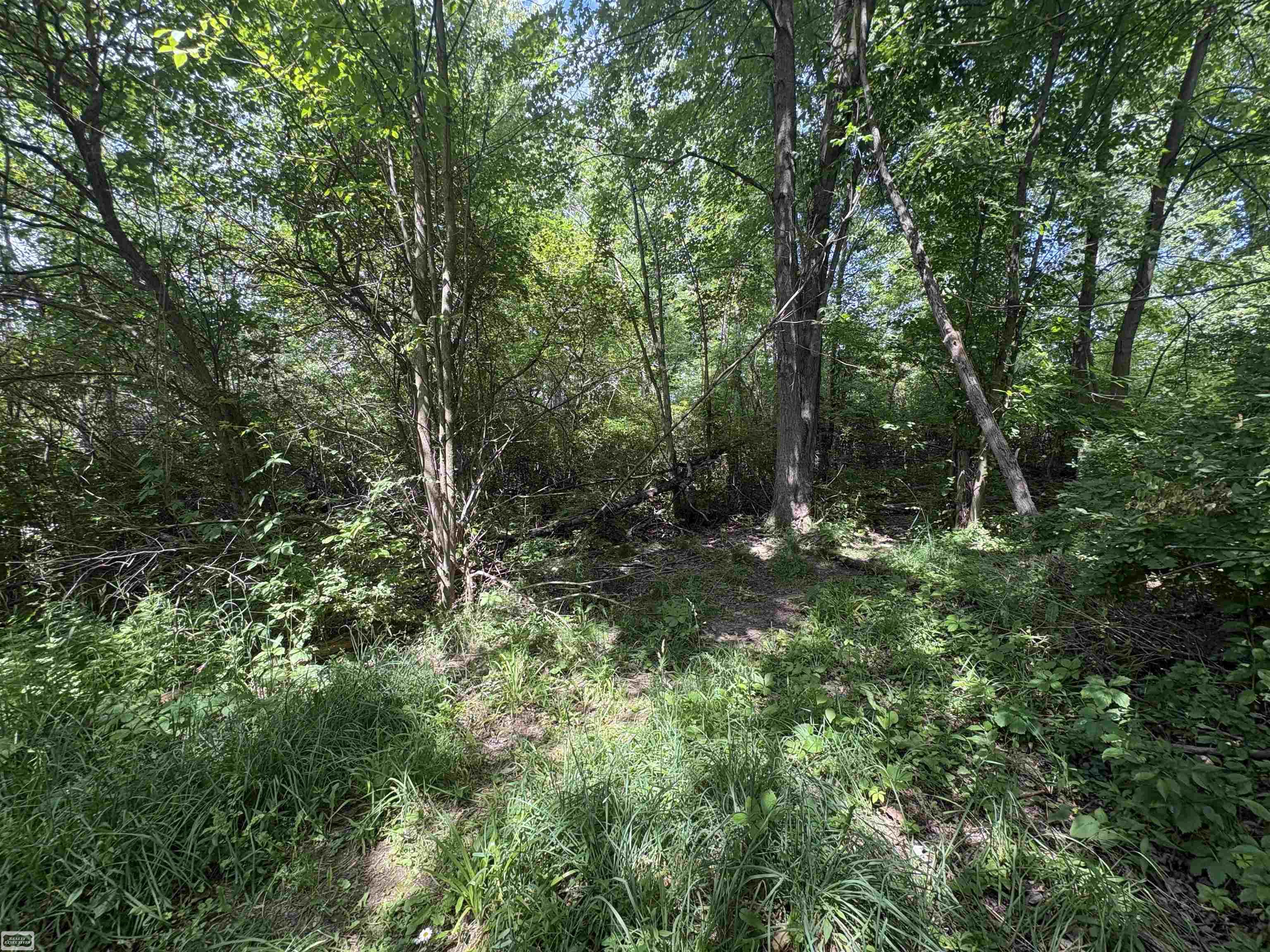 V/L N Heron Drive photo 3
