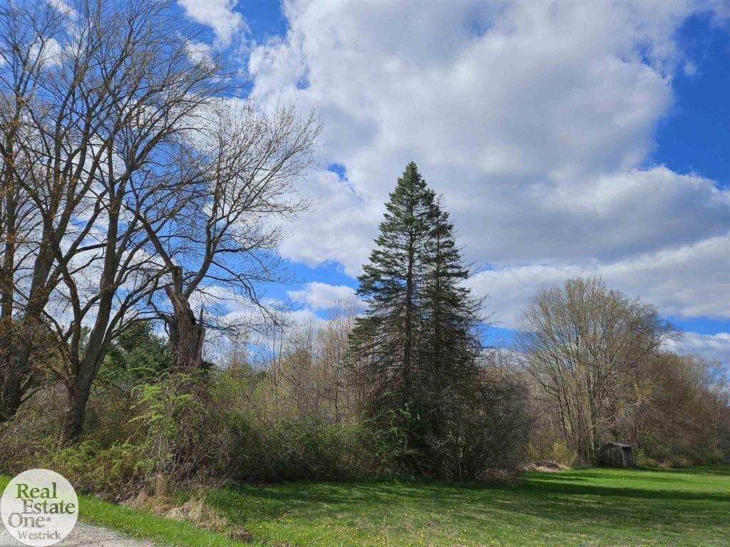 1st image of 0 Genaw Rd, Marine City, MI 48039 | MLS# 58050213372