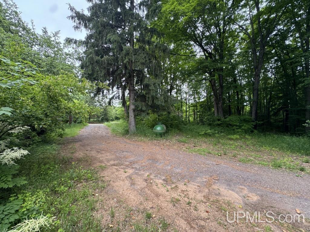 MLS 50213459 Large photo number 84 