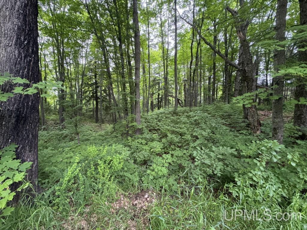 MLS 50213459 Large photo number 85 