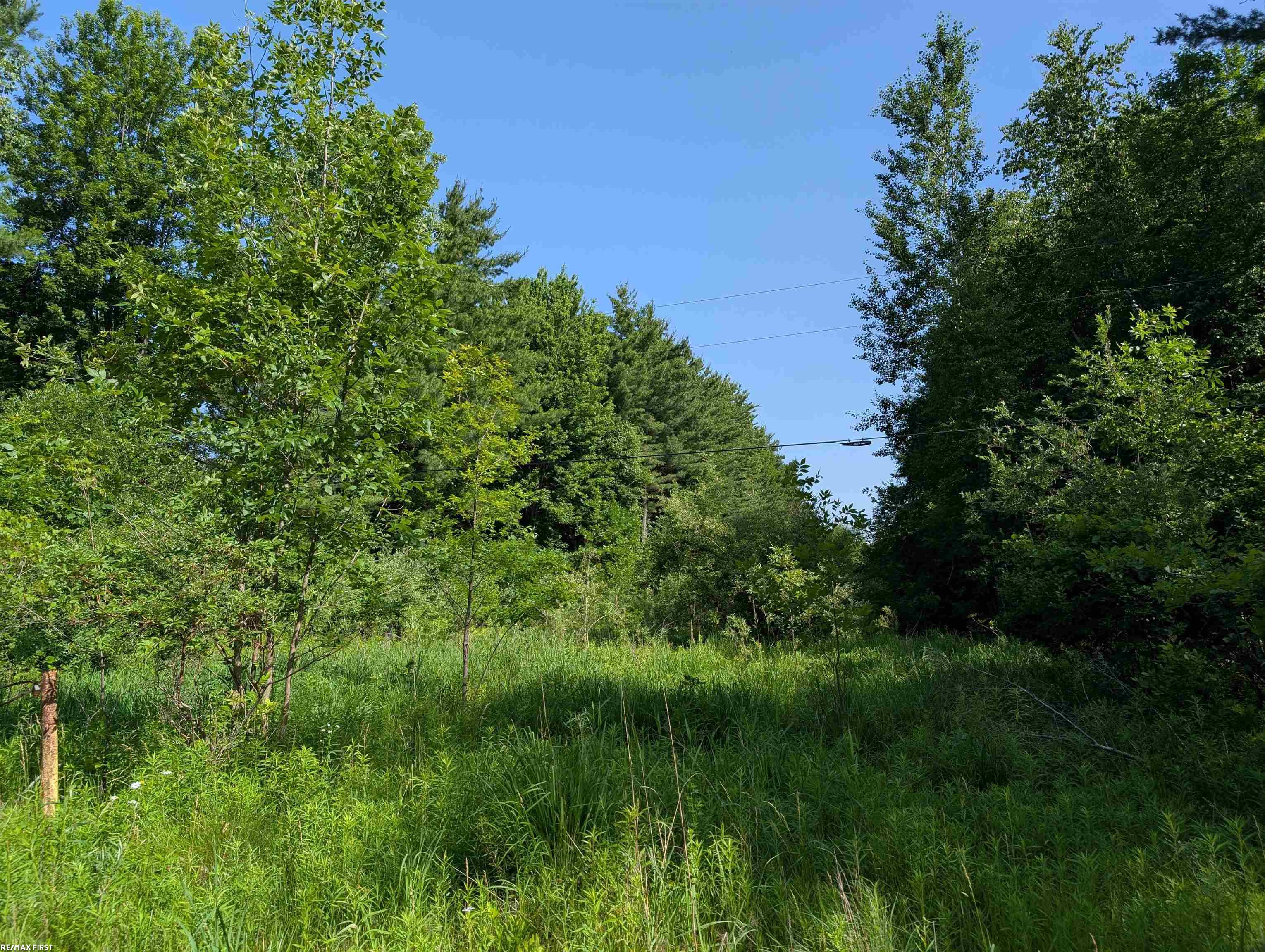 Homes for sale in Worth Township Sanilac, MI | 0 Burns Line Rd, Worth Township Sanilac, MI 48422 | MLS# 58050213624