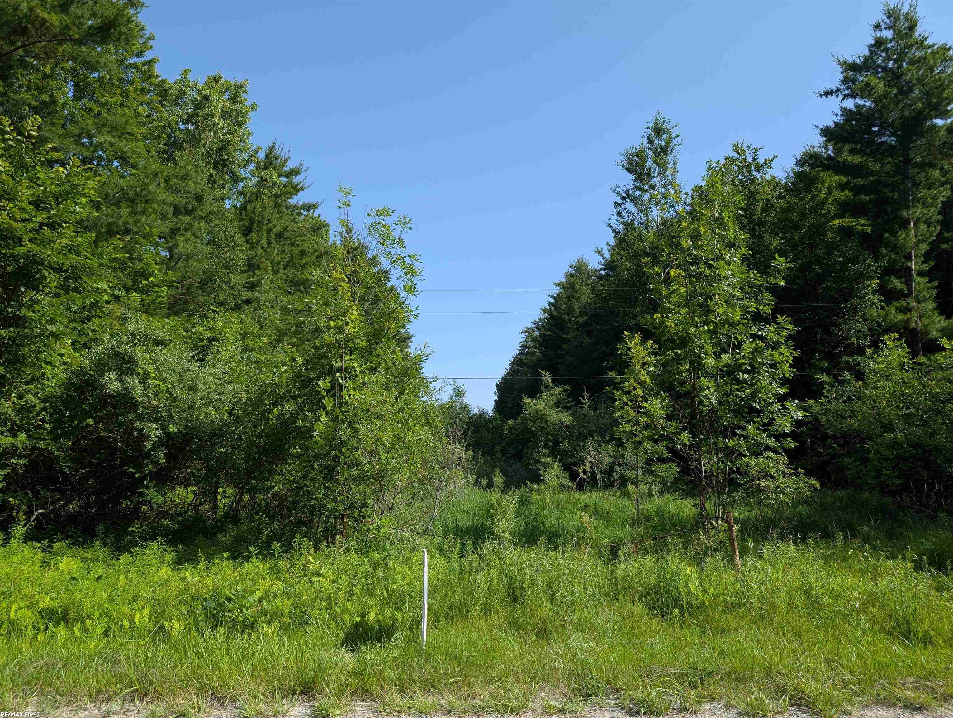 Homes for sale in Worth Township Sanilac, MI | 0 Burns Line Rd, Worth Township Sanilac, MI 48422 | MLS# 58050213624