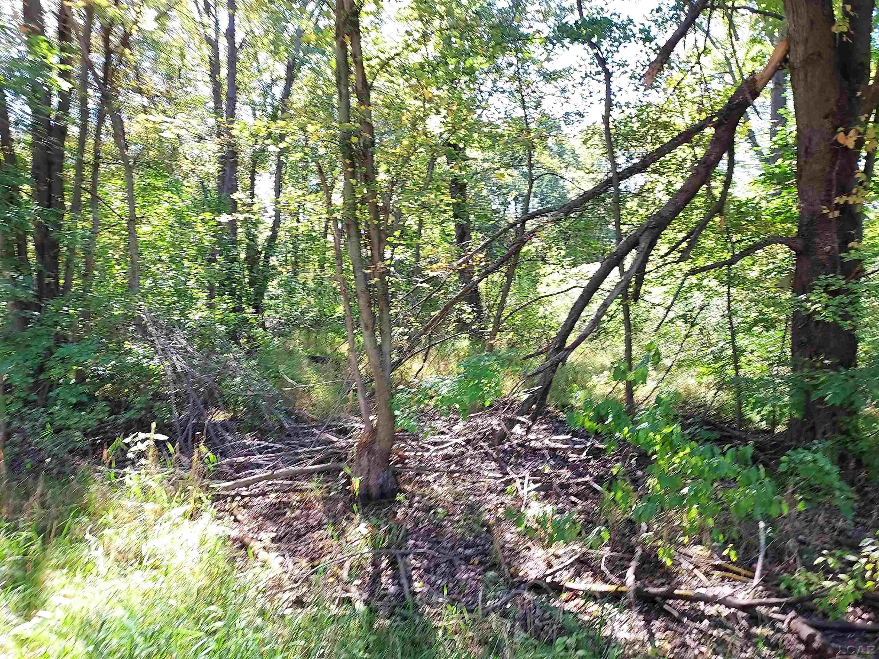 2nd image of 203 Kirkley Dr, Brooklyn, MI 49230 | MLS# 56050214007
