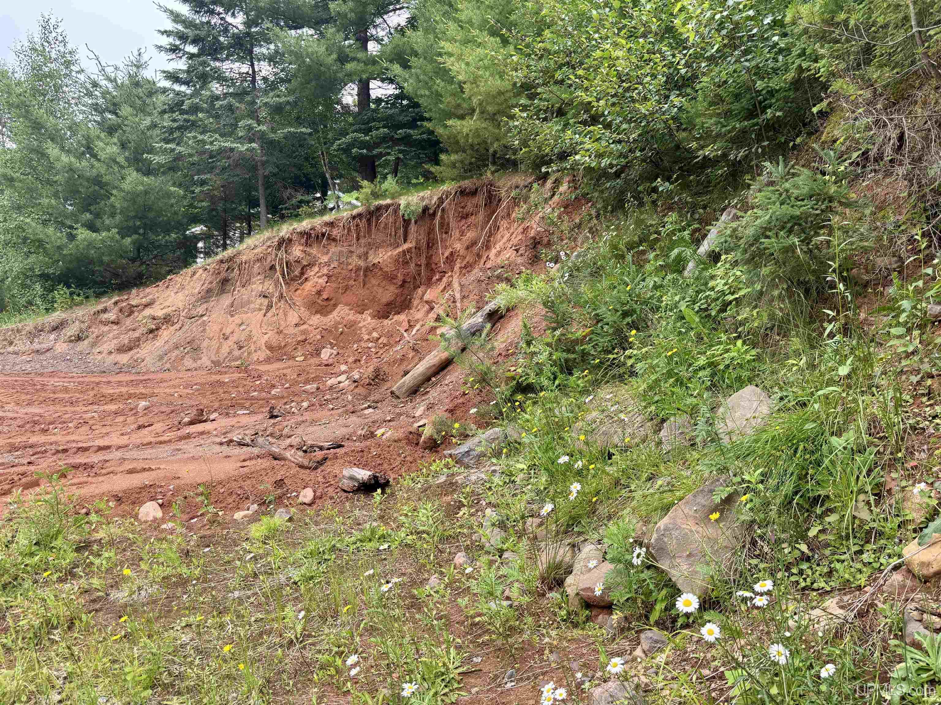 MLS 50214224 Large photo number 6 