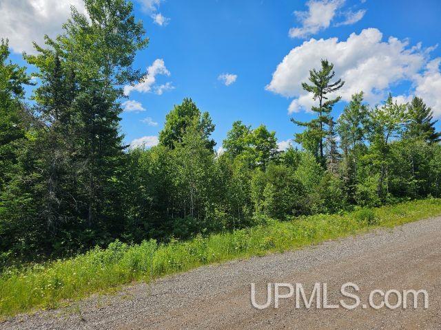 MLS 50214332 Large photo number 3 
