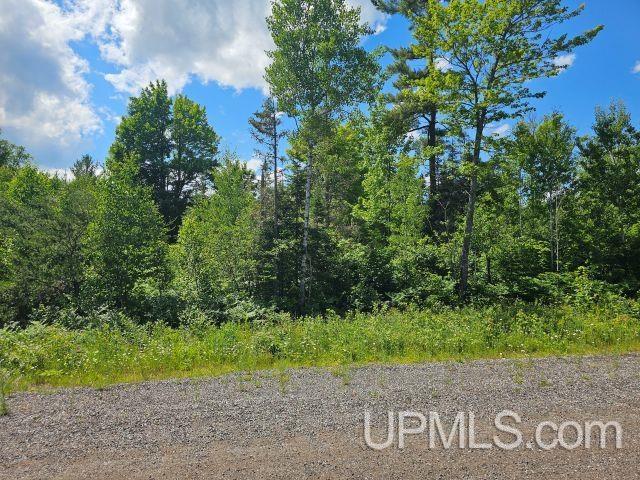MLS 50214332 Large photo number 4 