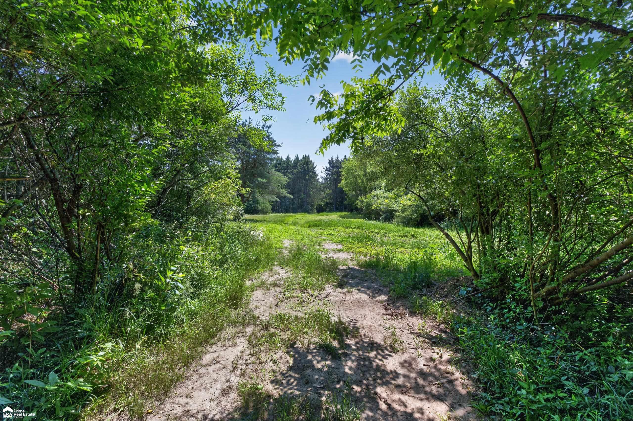 5498 Piersonville Road photo 11
