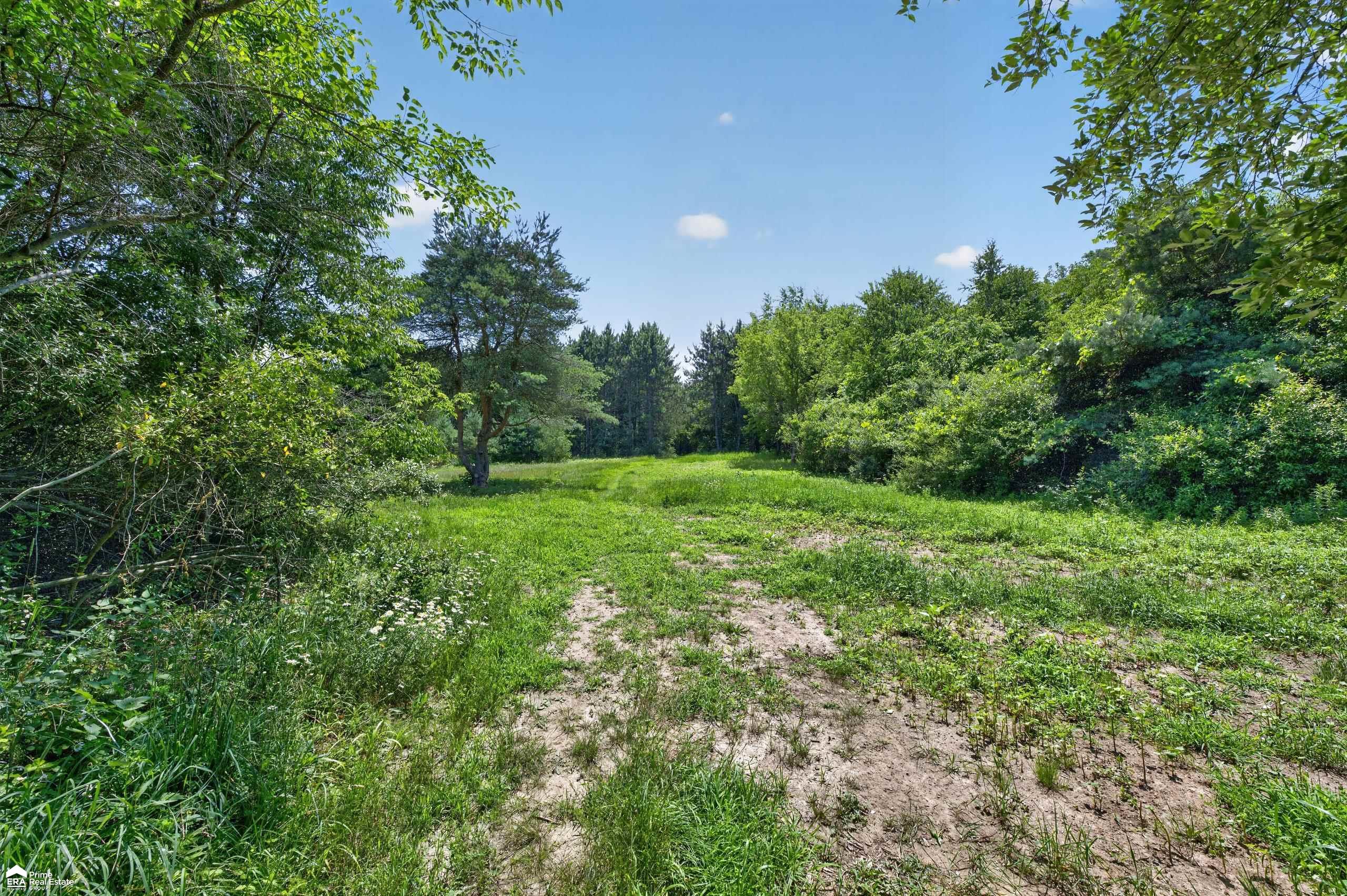 5498 Piersonville Road photo 12