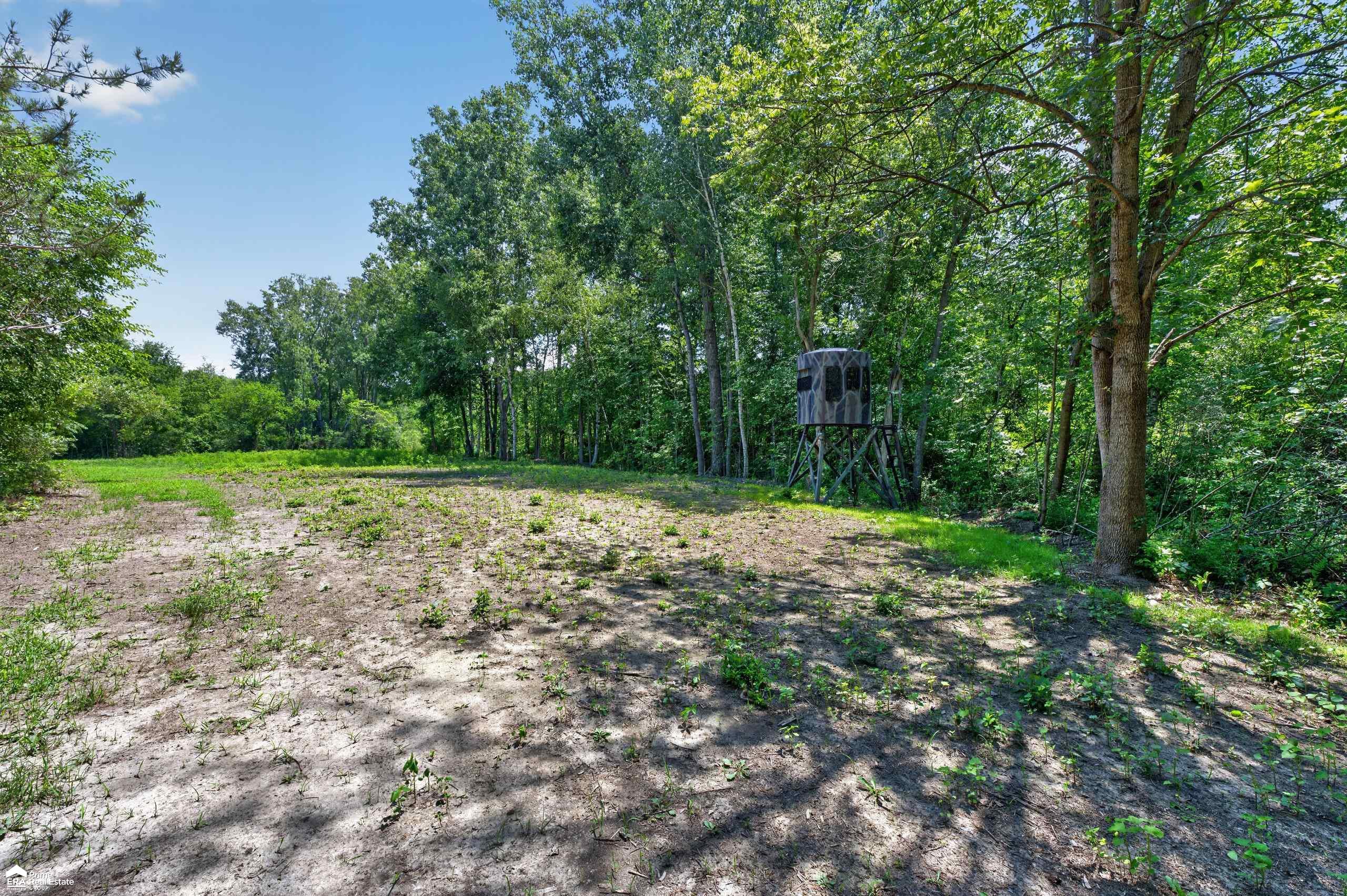 5498 Piersonville Road photo 13
