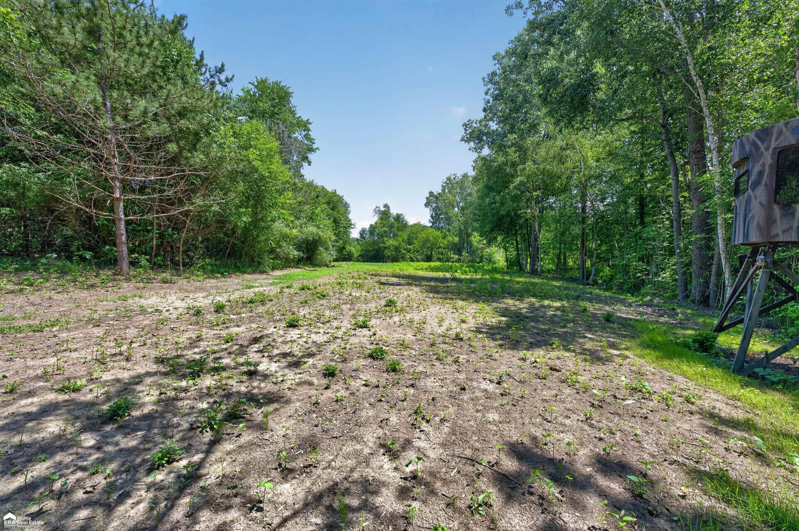 5498 Piersonville Road photo 14