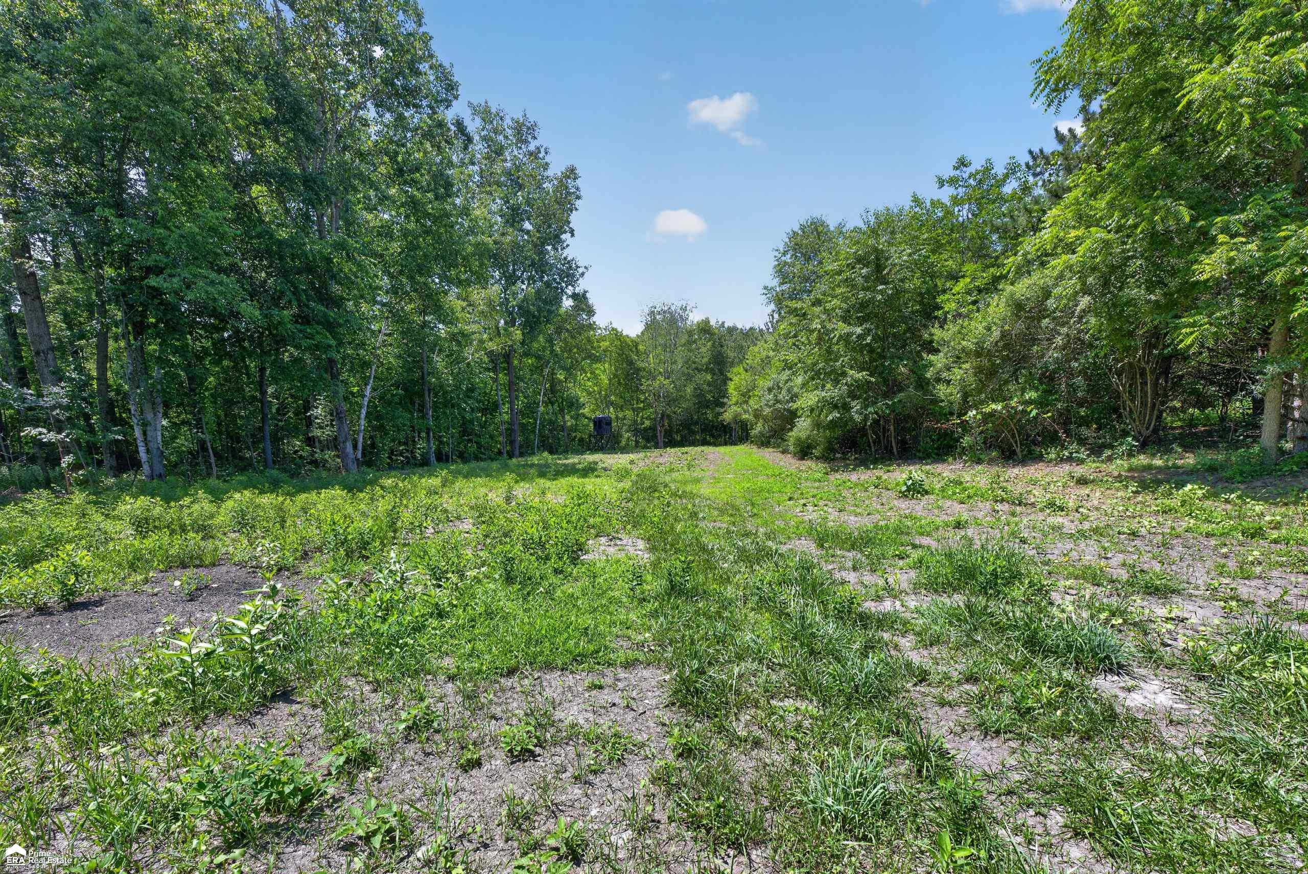 5498 Piersonville Road photo 15