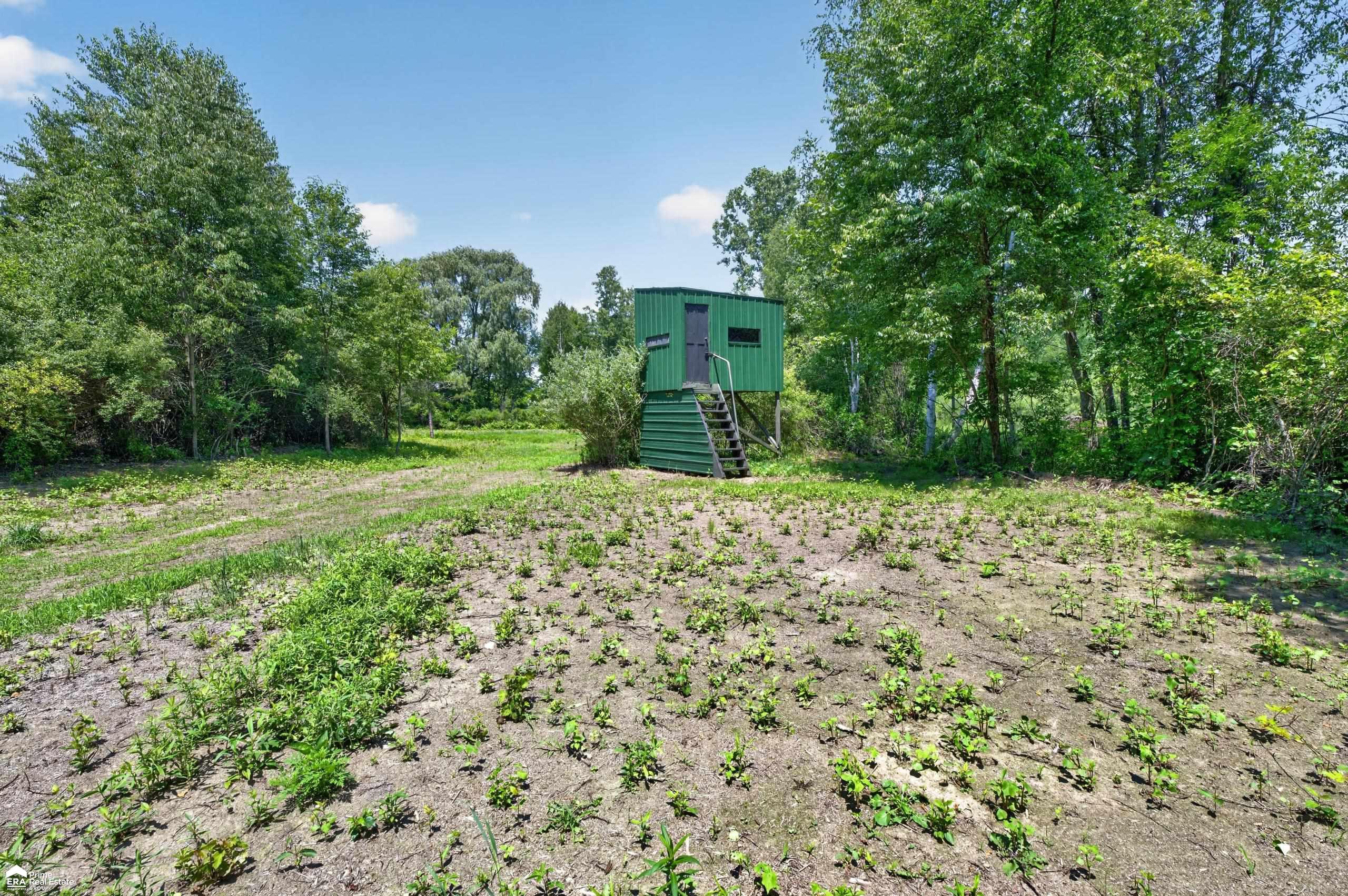 5498 Piersonville Road photo 16