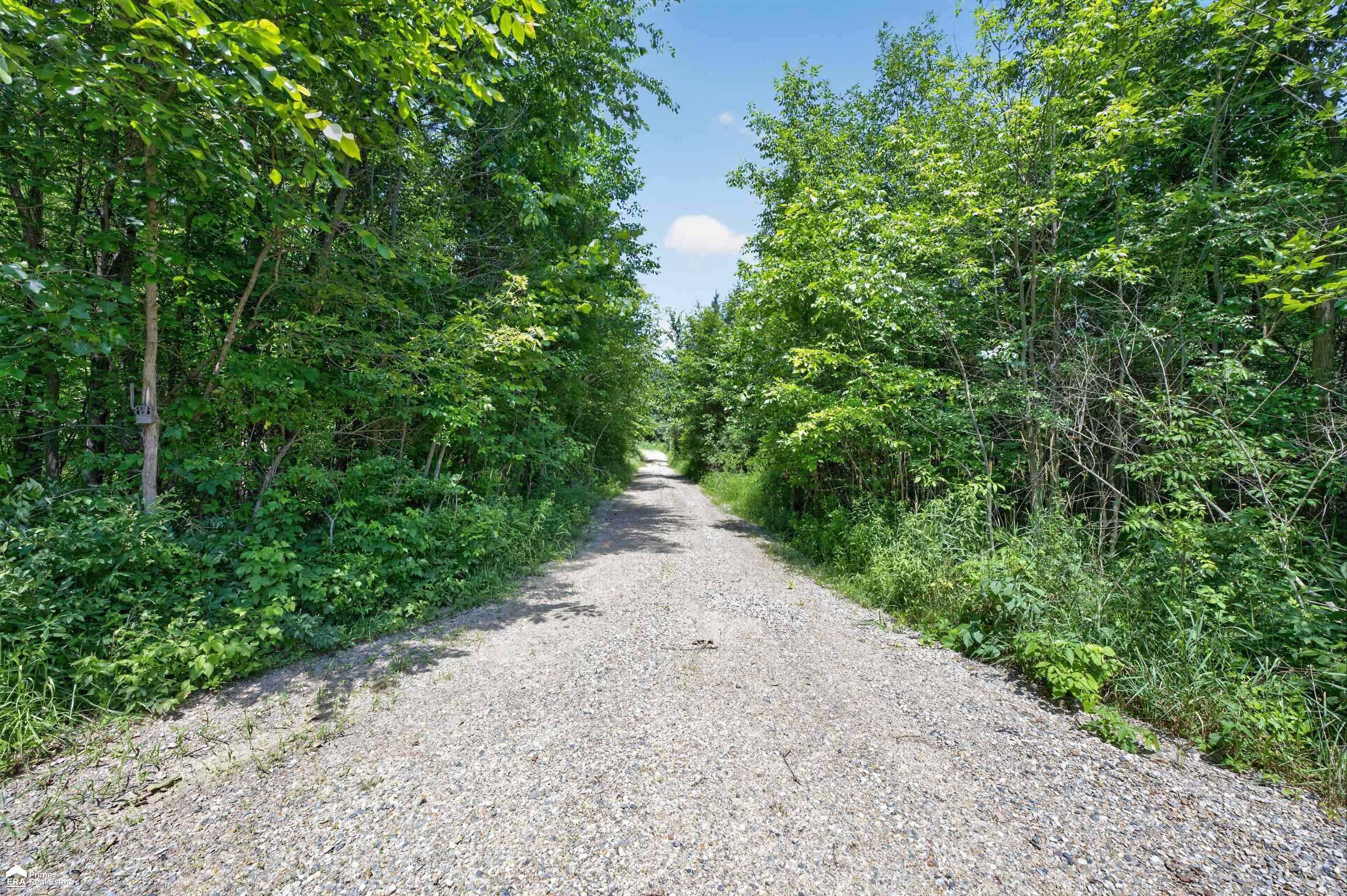 5498 Piersonville Road photo 3