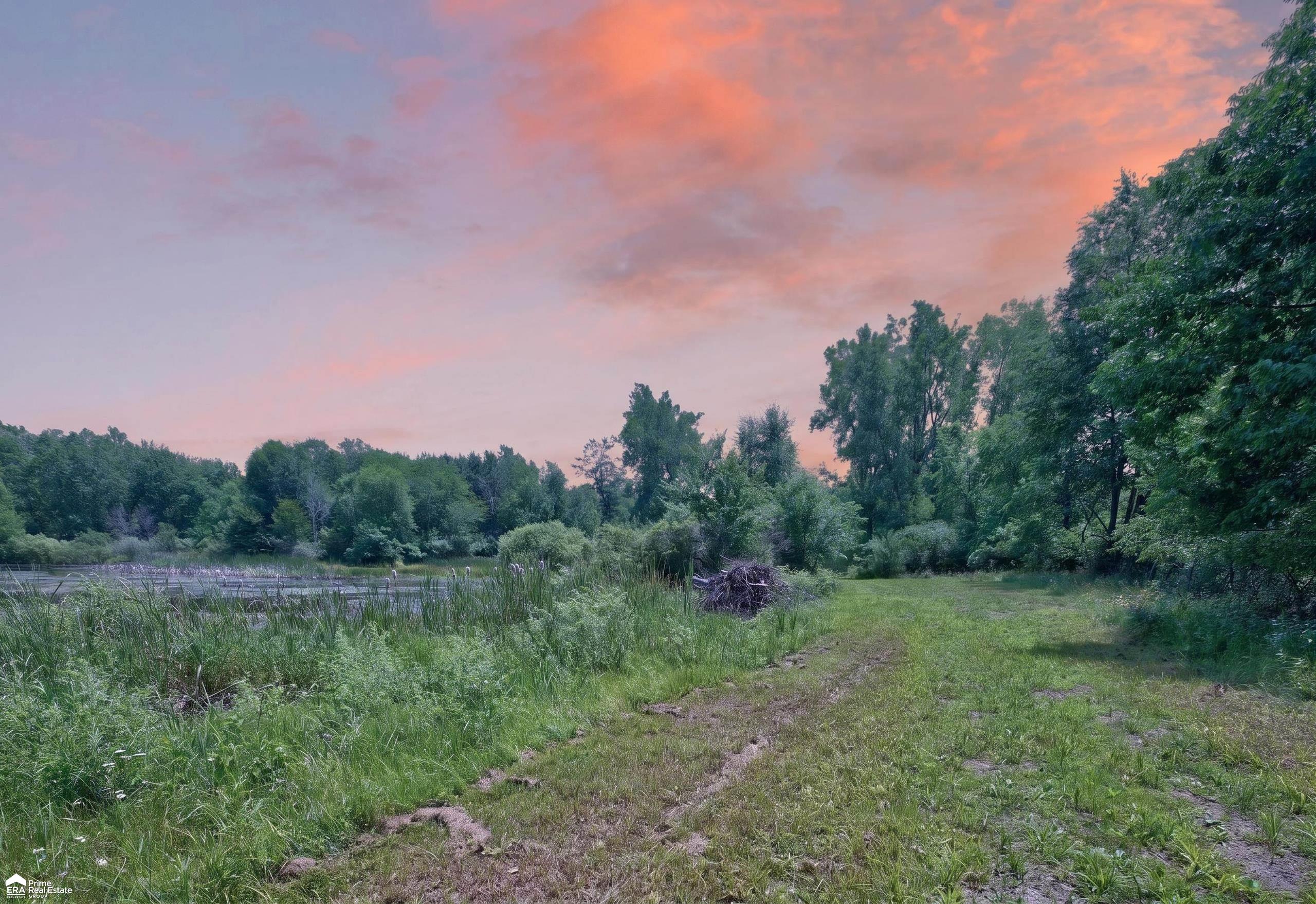 5498 Piersonville Road photo 4