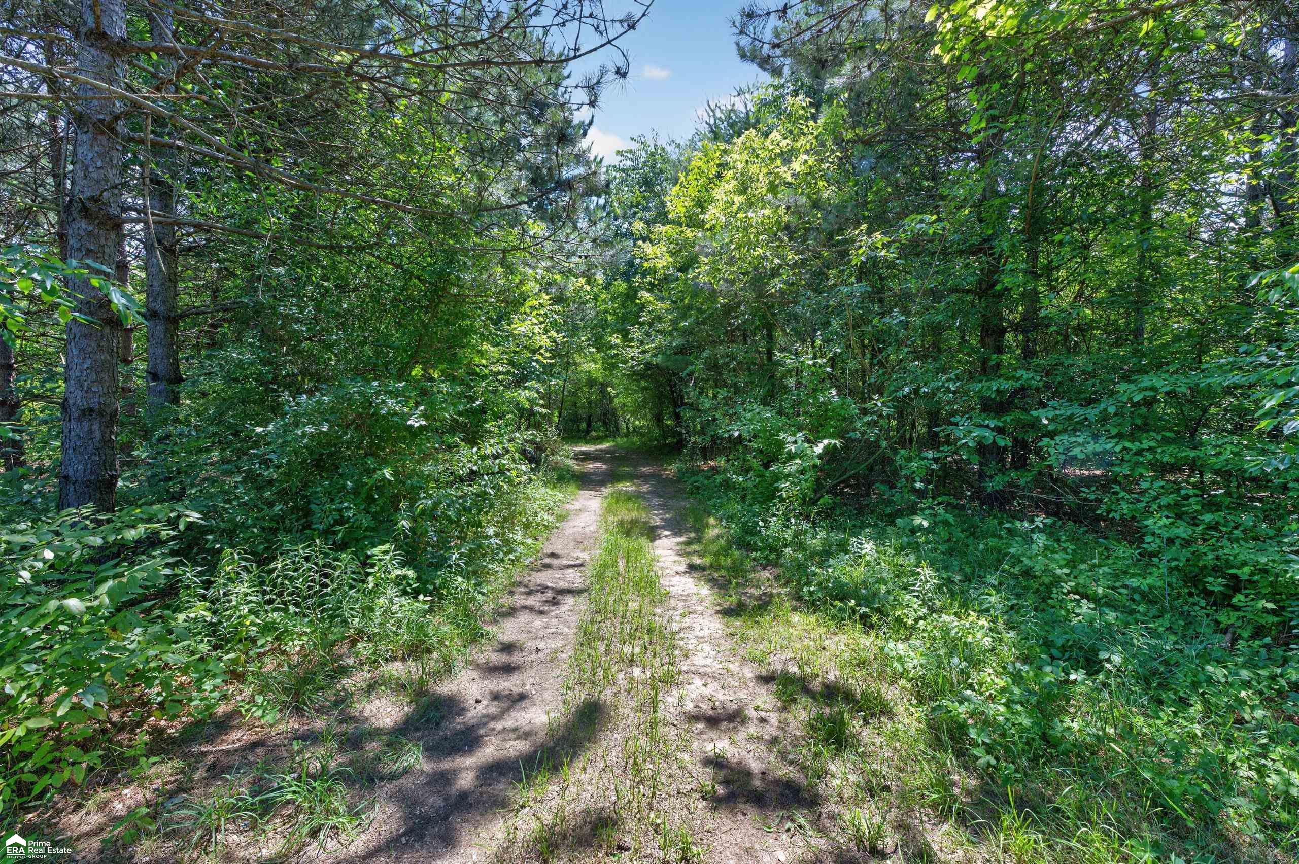 5498 Piersonville Road photo 10