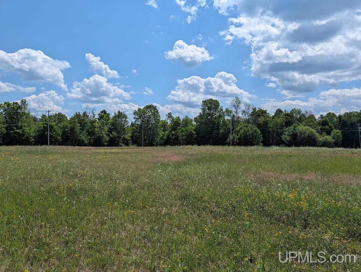Homes for sale in White Pine, MI | 135 Maple St, White Pine, MI 49971 | MLS# 50214478