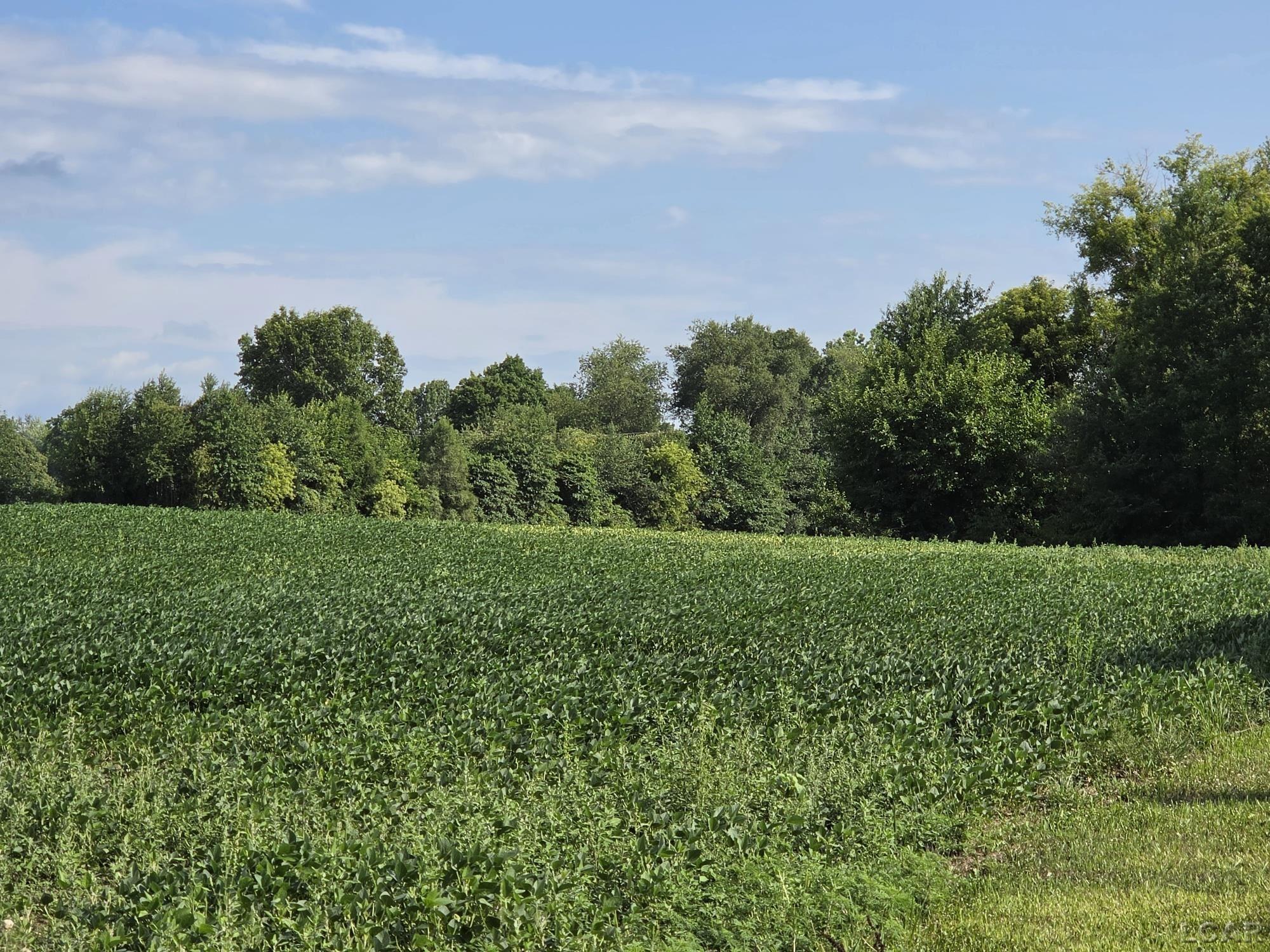 2nd image of W Mosherville Rd, Litchfield, MI 49252 | MLS# 50214549