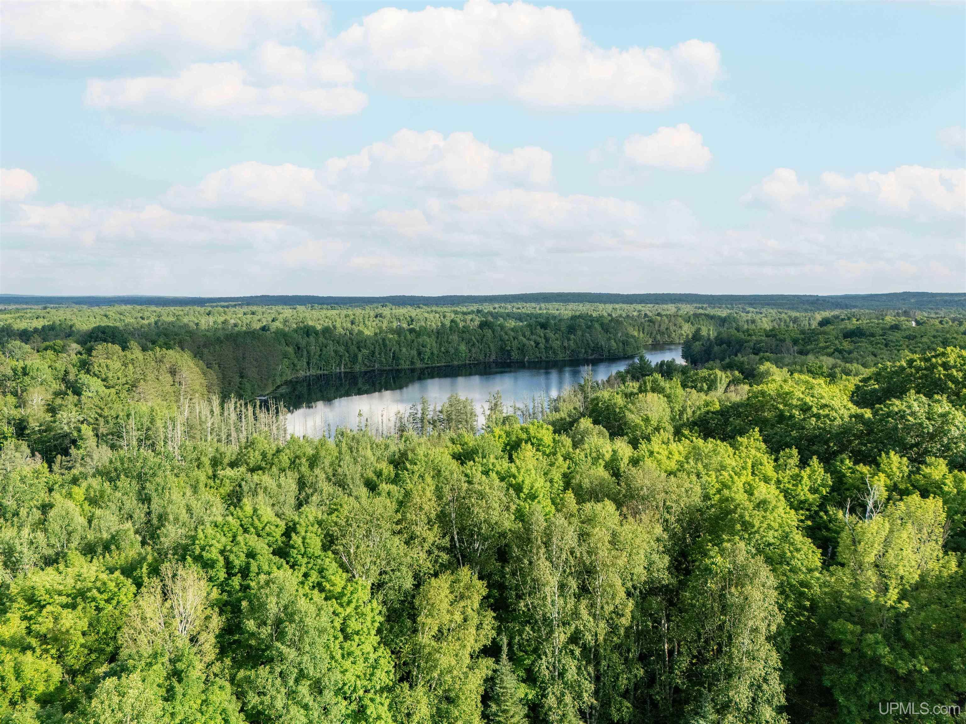 Homes for sale in Crystal Falls, MI | 441 Kalla Walla Trl, Crystal Falls, MI 49920 | MLS# 50214755