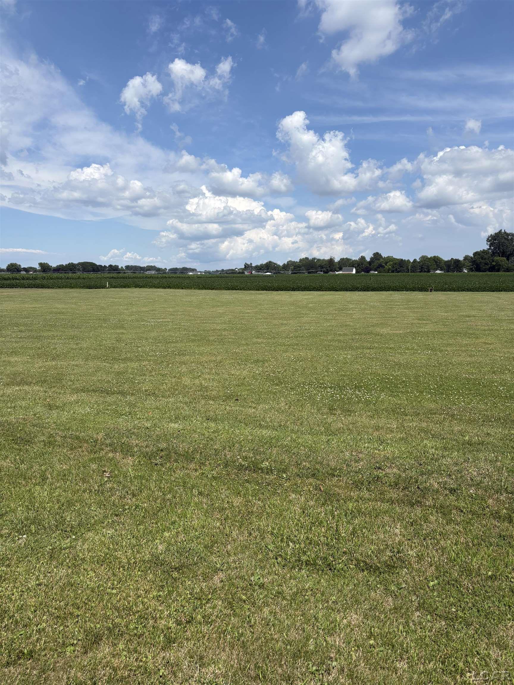 1st image of 5000 Blk Ricker Lot B Hwy, Blissfield Village Lenawee, MI 49228 | MLS# 56050214778